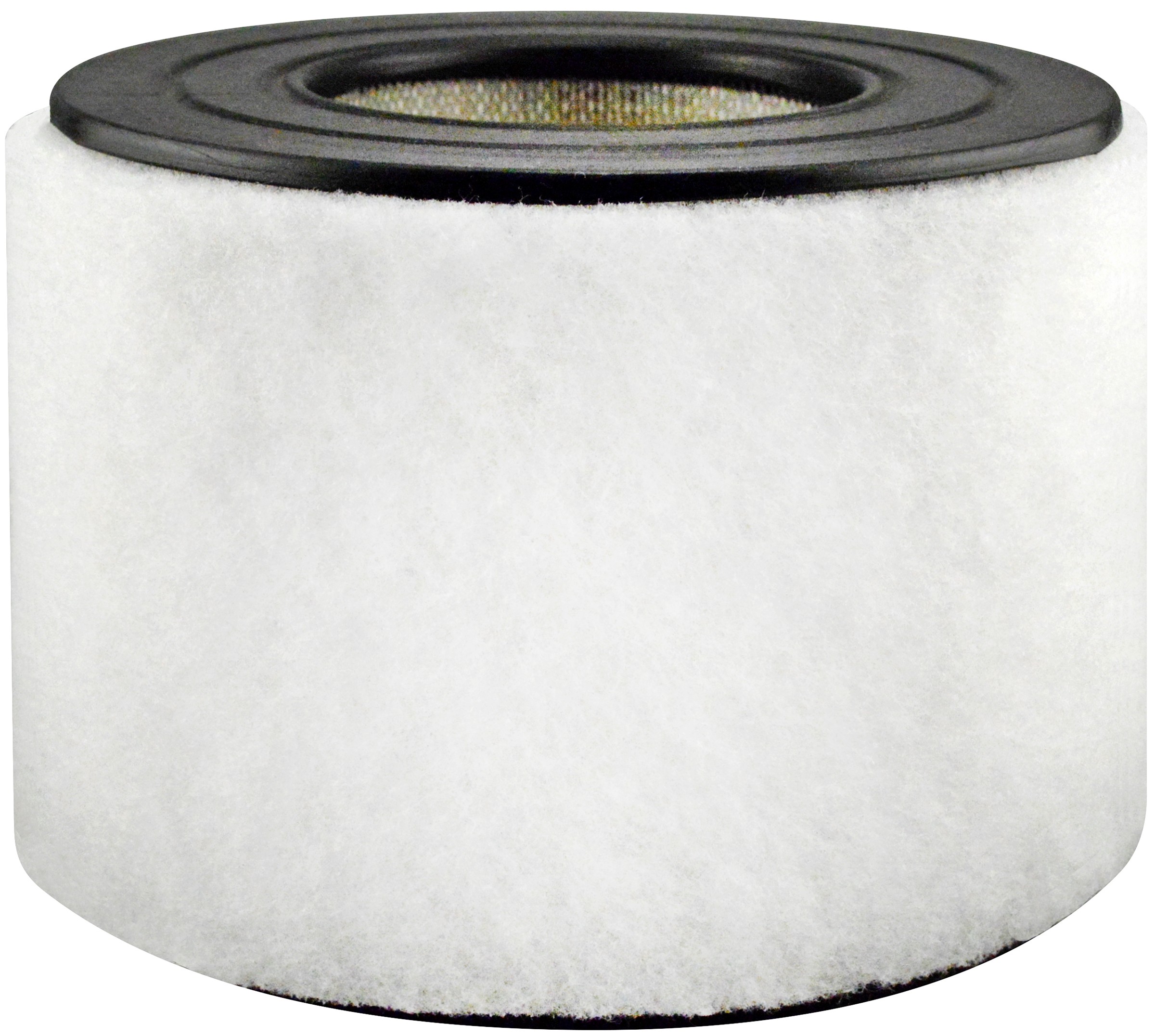 Baldwin PA3890 Air Element with Foam Wrap
