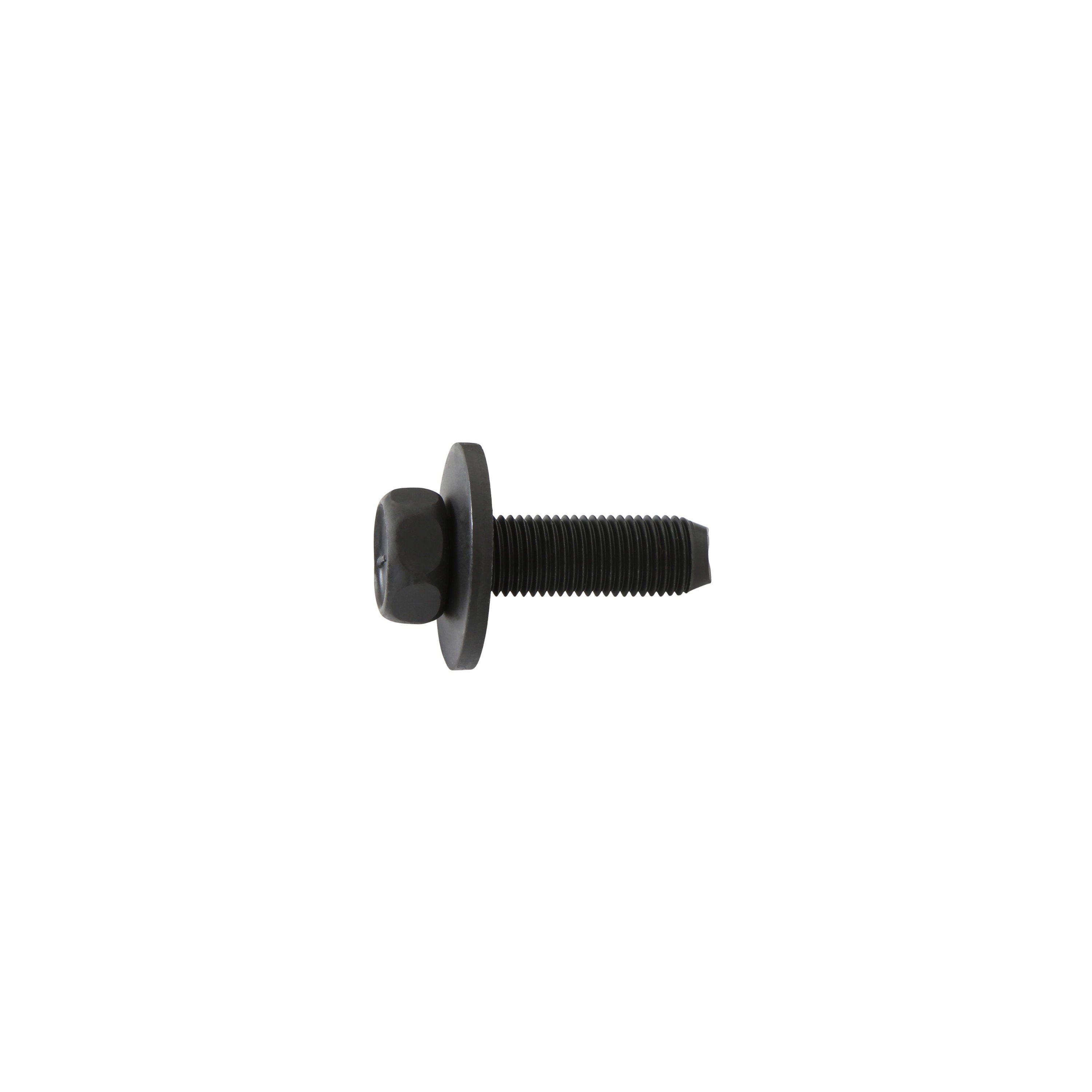 Brothers Trucks Door Hinge Bolt Set - One Door - Image 5