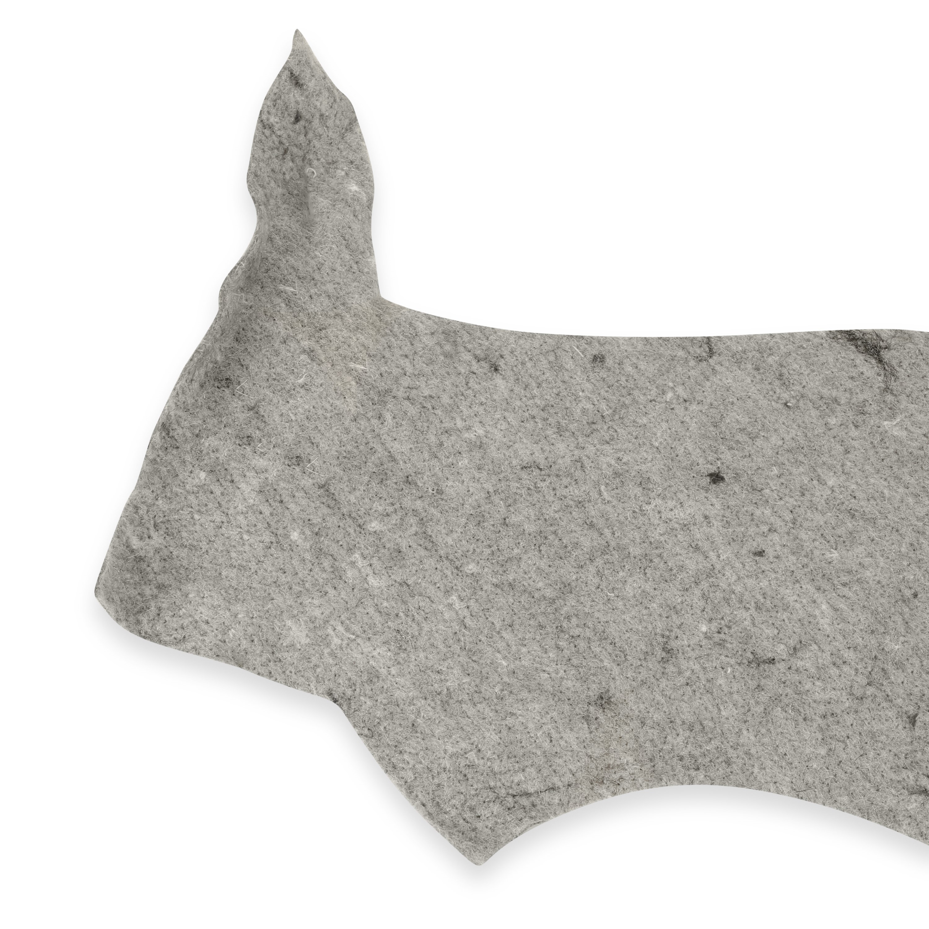 Brothers Trucks Under Carpet Felt Pad