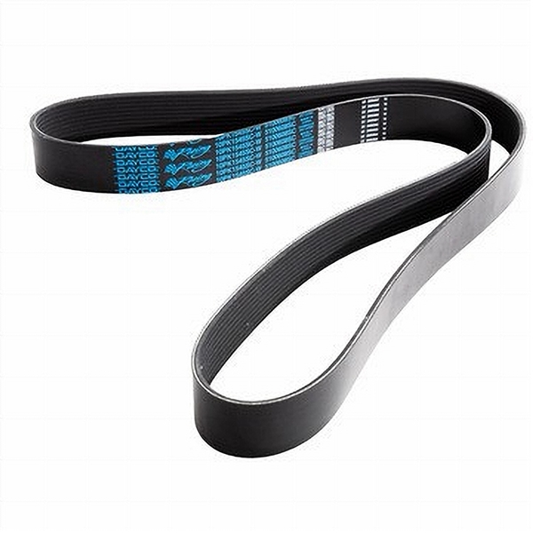 Dayco 5100608 POLY RIB BELT