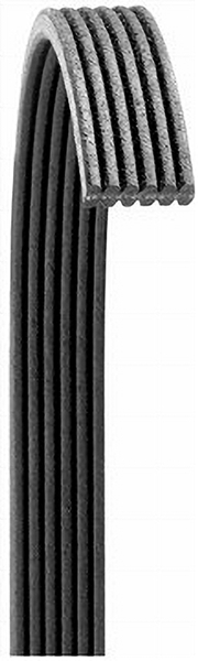 Dayco 6060673 POLY RIB BELT