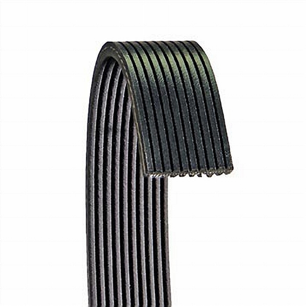 Dayco 6100672 POLY RIB BELT