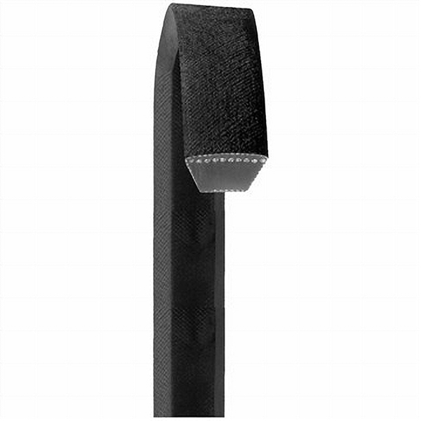 Dayco AP51 V