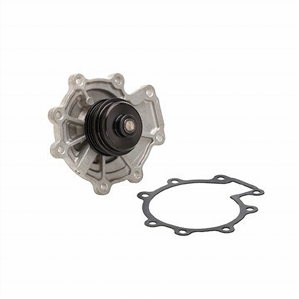 Dayco DP1013 WATER PUMP-AUTO/LIGHT TRUCK - Image 2
