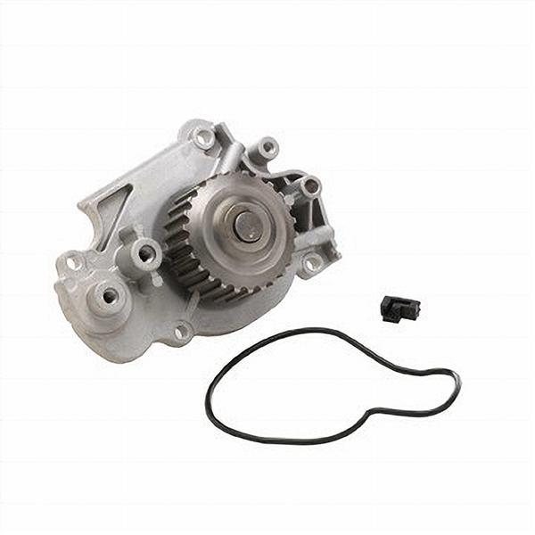 Dayco DP556 WATER PUMP-AUTO/LIGHT TRUCK - Image 2