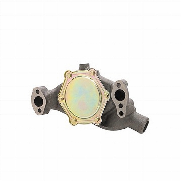Dayco DP829 WATER PUMP-AUTO/LIGHT TRUCK