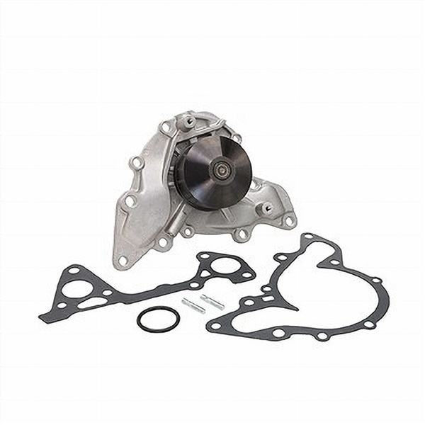 Dayco DP916 WATER PUMP-AUTO/LIGHT TRUCK - Image 2