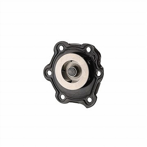 Dayco DP975 WATER PUMP-AUTO/LIGHT TRUCK