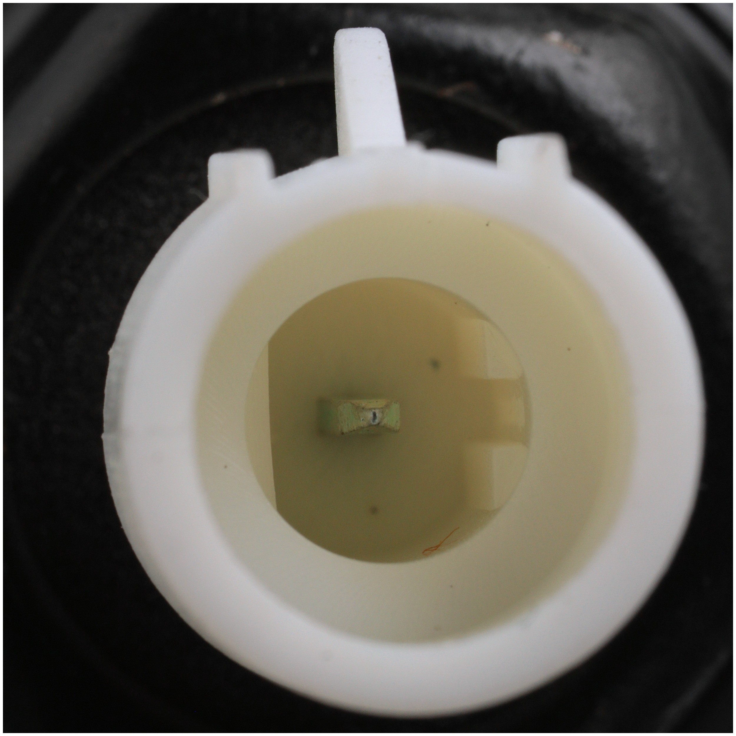 Delphi AS10013 Ignition Knock (Detonation) Sensor - Image 4