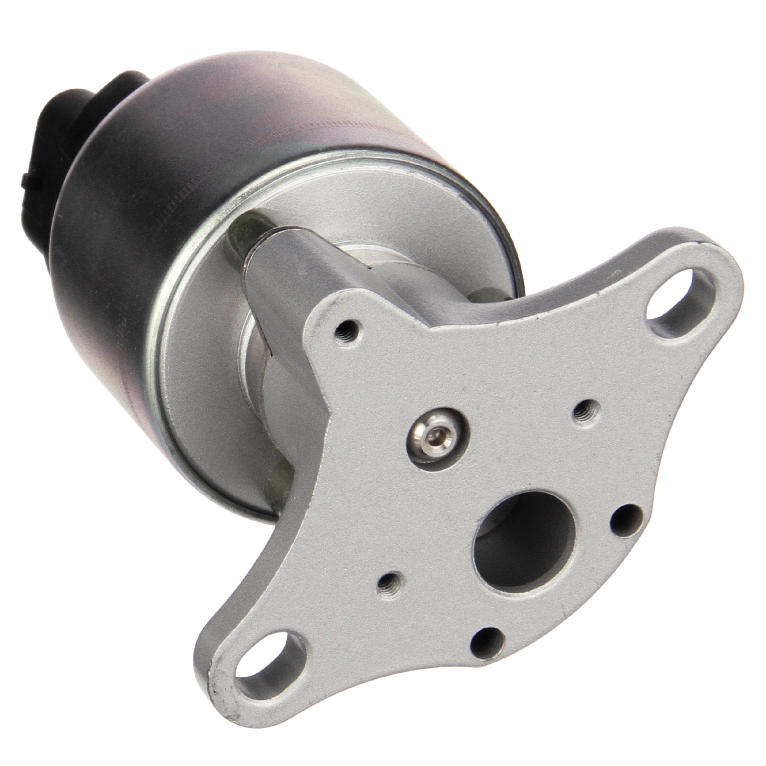 Delphi EG10176 Exhaust Gas Recirculation (EGR) Valve
