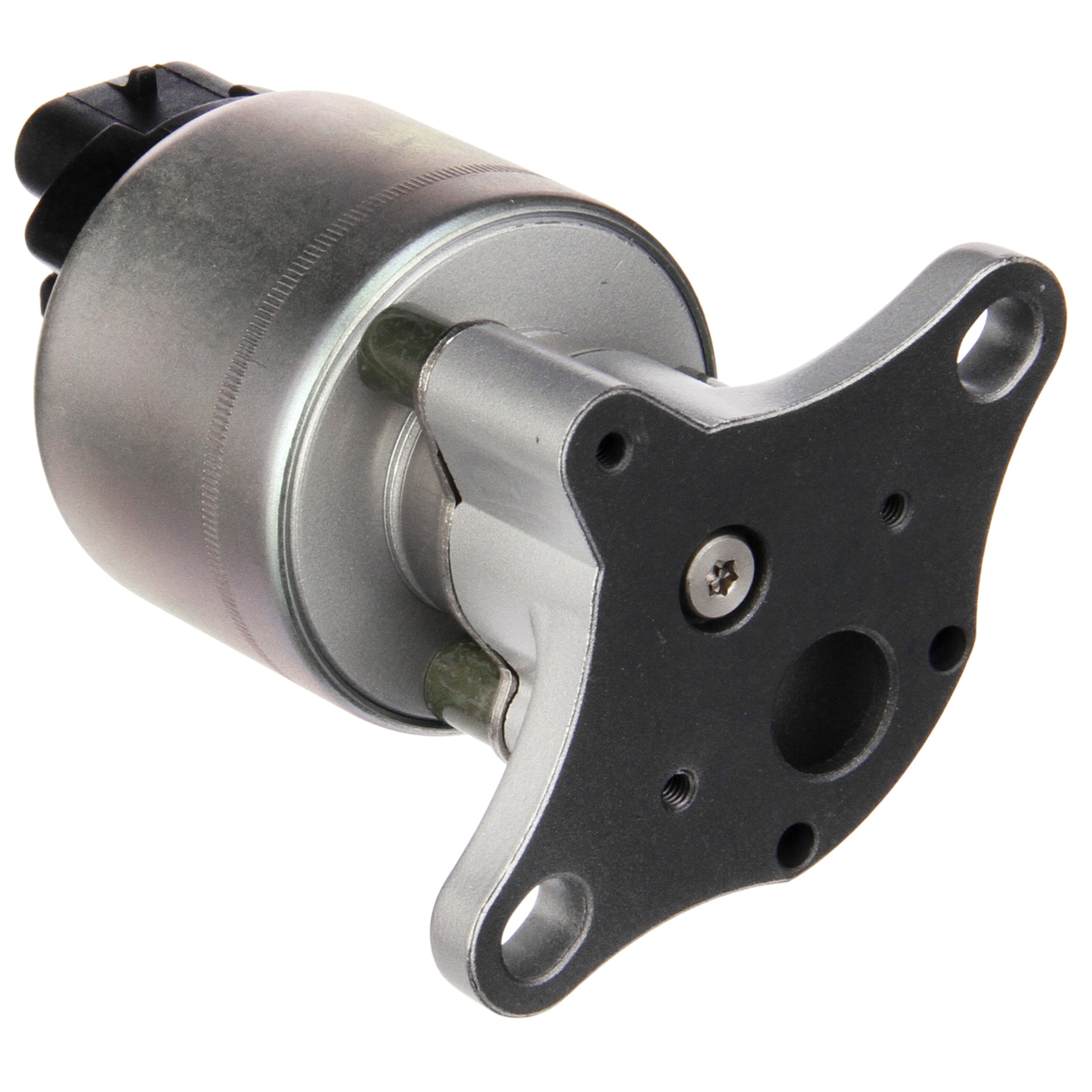 Delphi EG10311 Exhaust Gas Recirculation (EGR) Valve