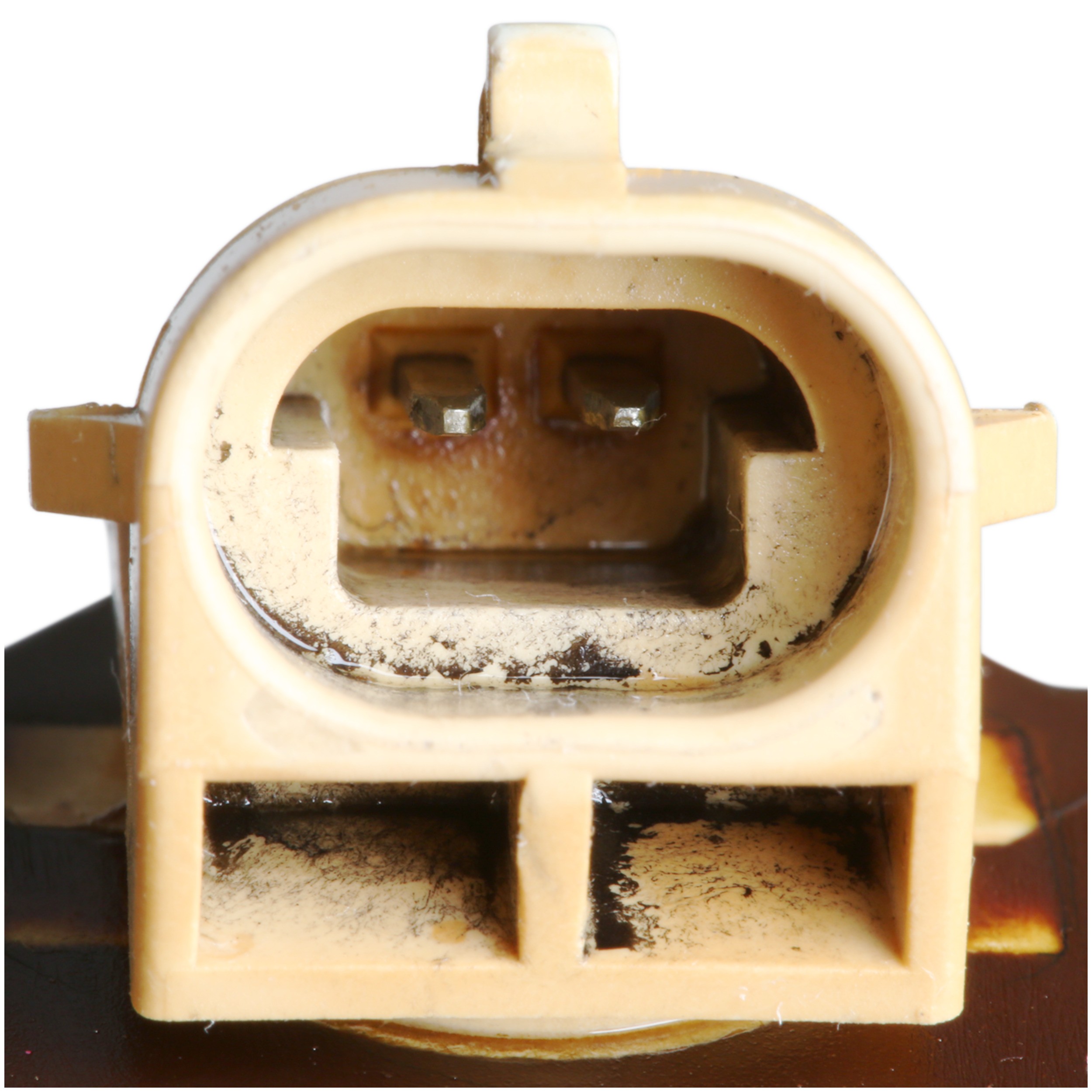 Delphi EX639350 Fuel Injector - Image 4