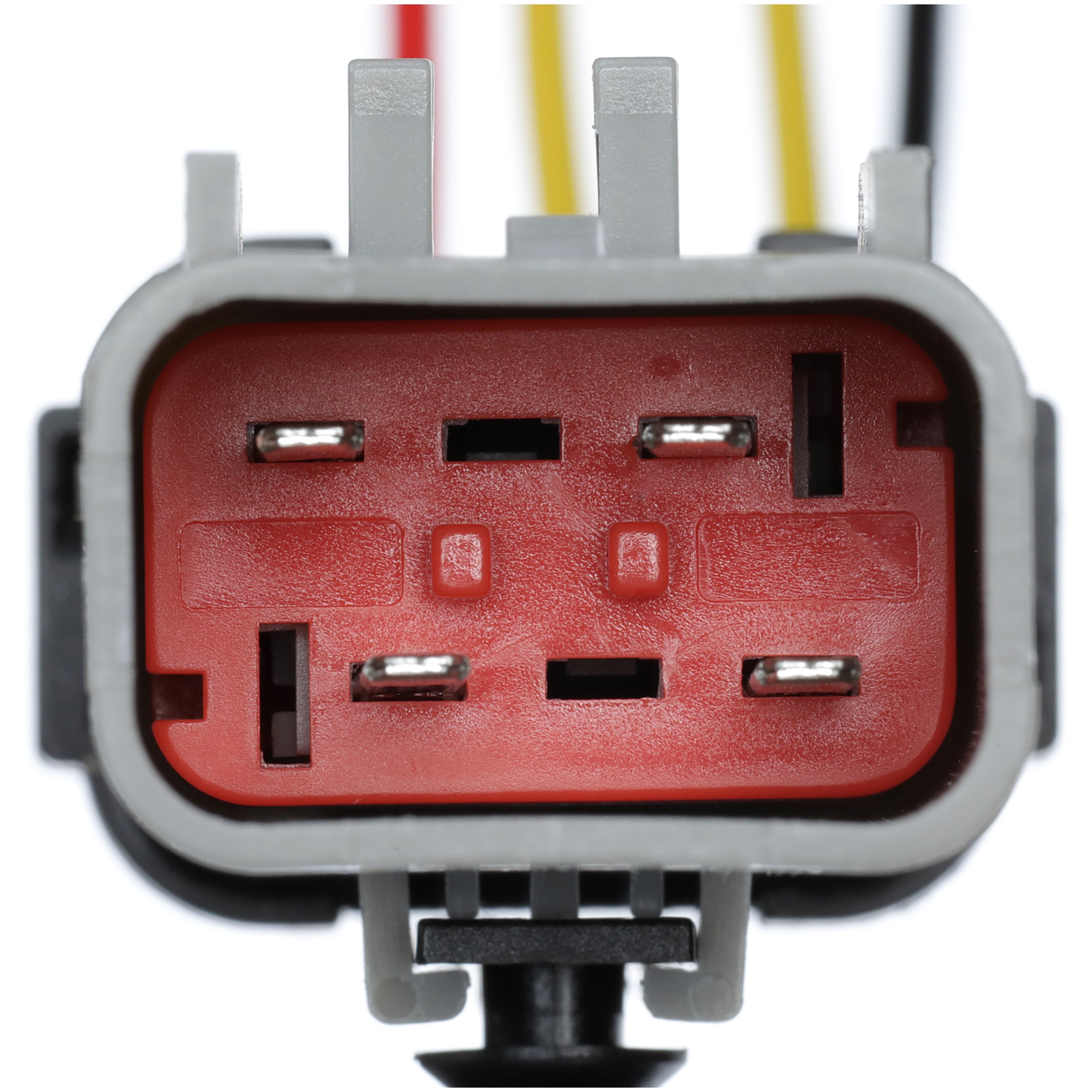 Delphi FA10021 Fuel Pump Wiring Harness - Image 4