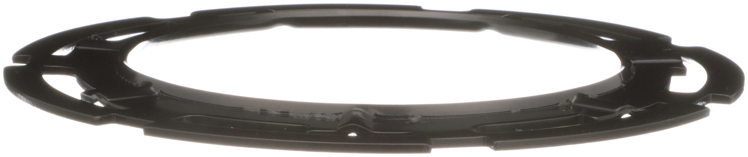 Delphi FA10027 Fuel Tank Lock Ring - Image 6