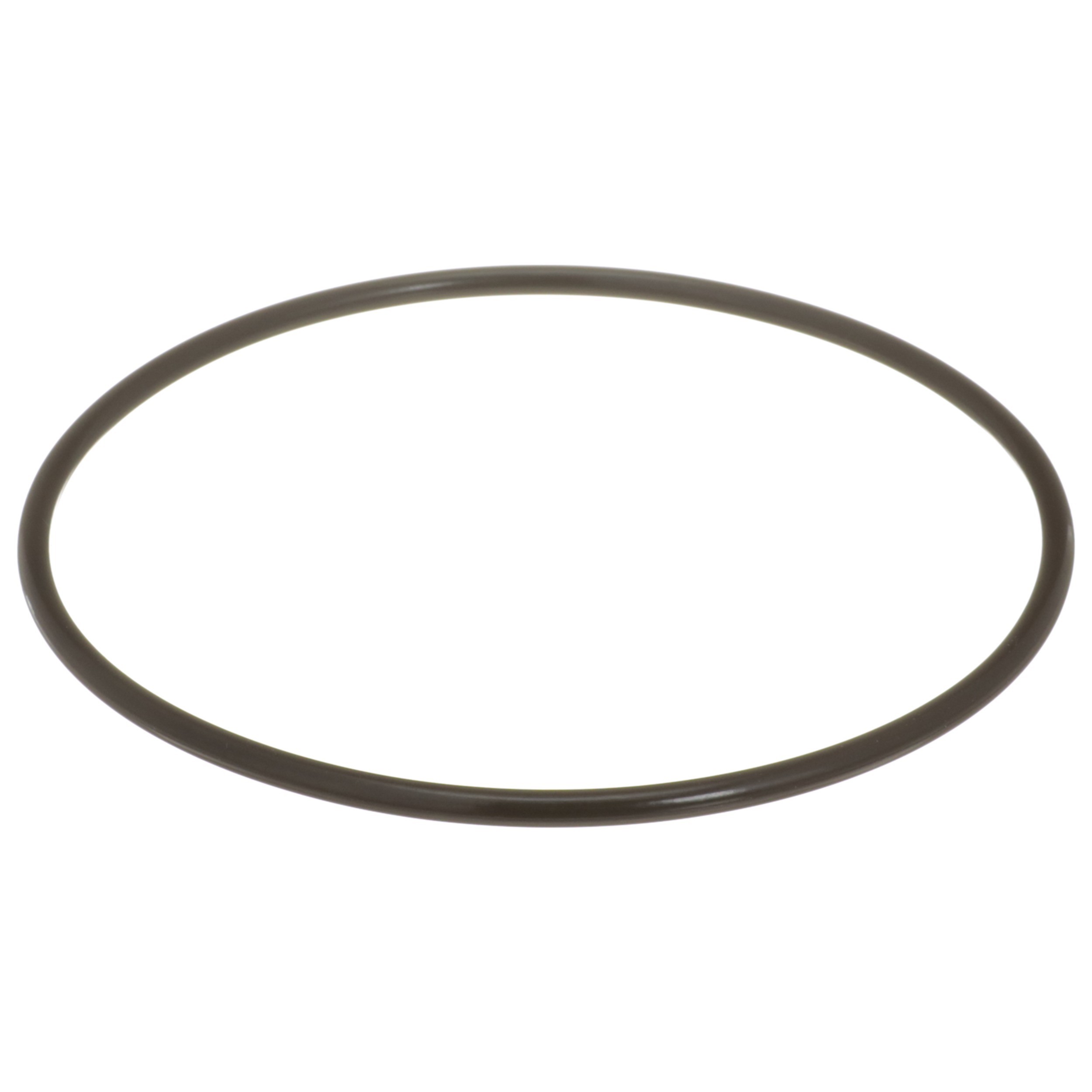 Delphi FA10036 Fuel Pump Tank Seal