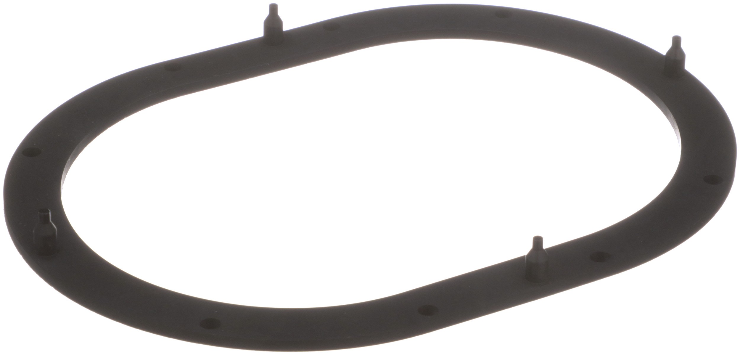 Delphi FA10039 Fuel Pump Tank Seal