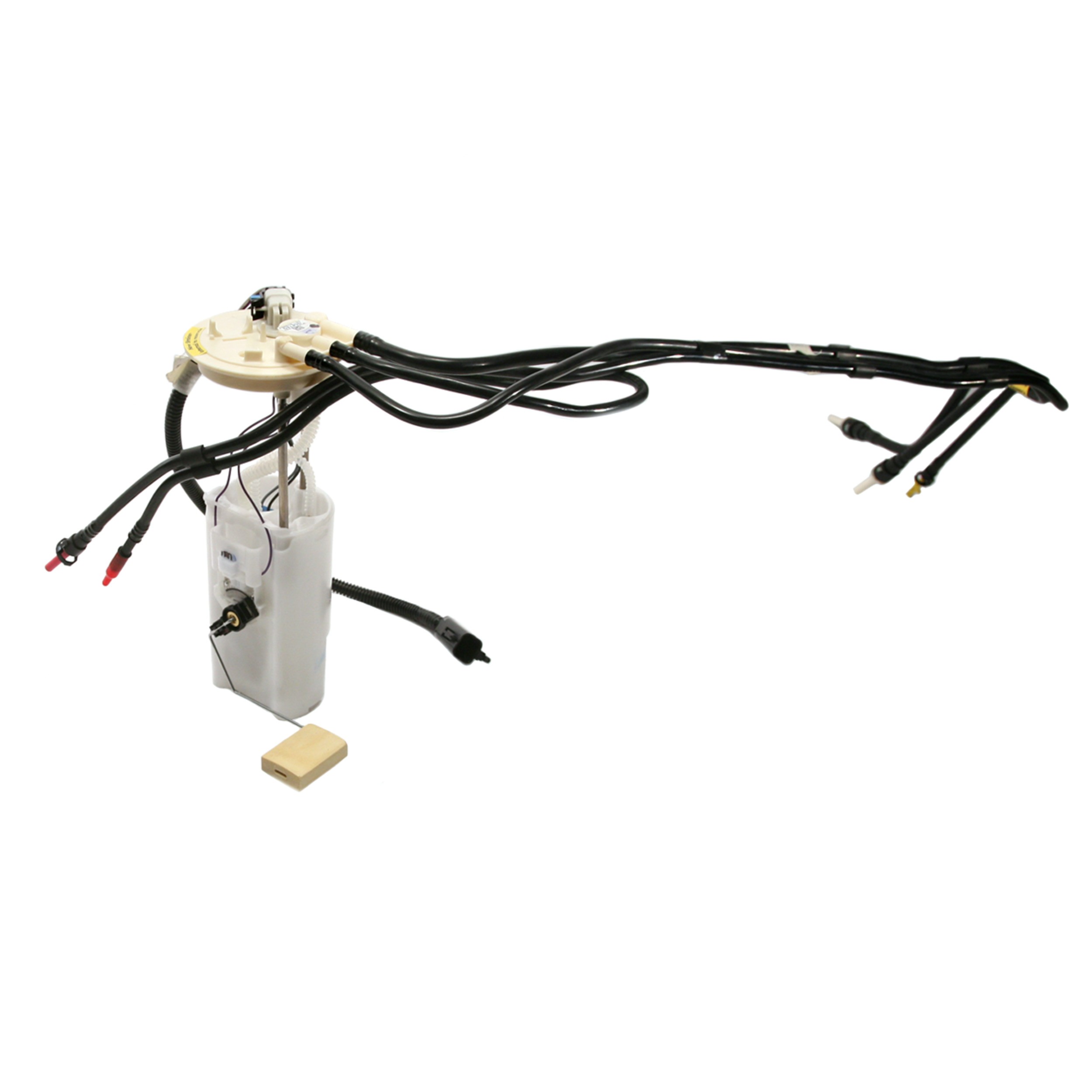 Delphi FG0019 Fuel Pump Module Assembly