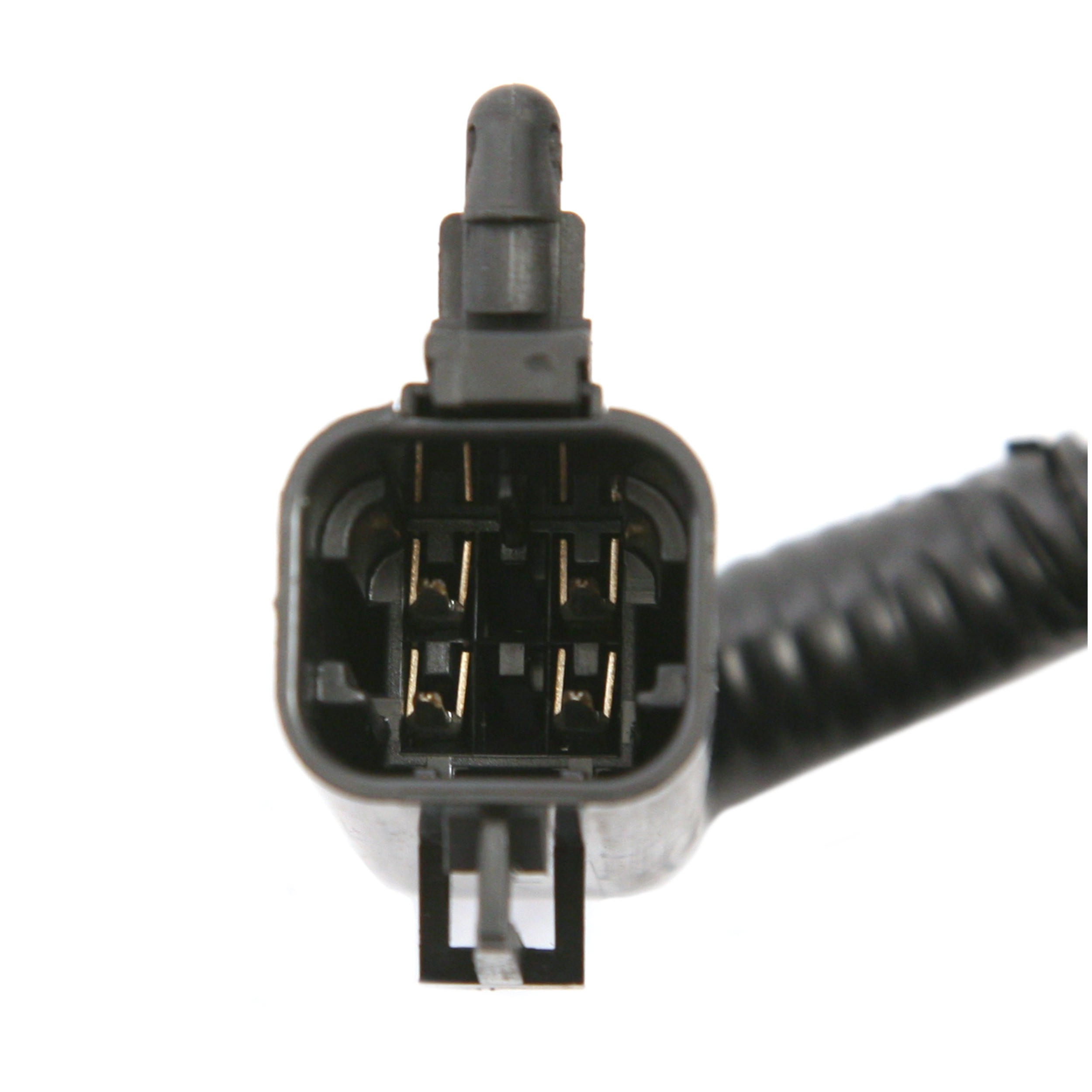Delphi FG0019 Fuel Pump Module Assembly - Image 4