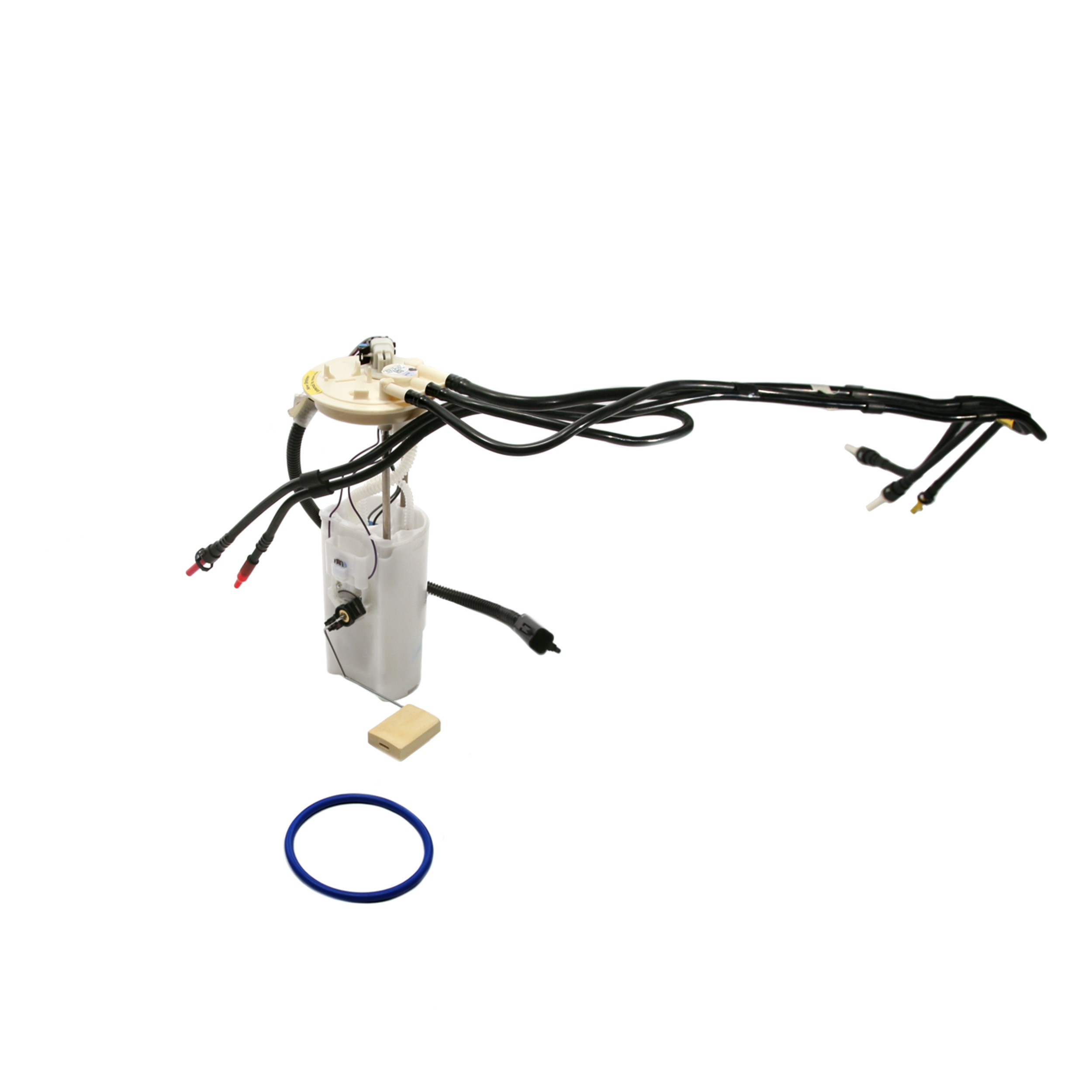 Delphi FG0019 Fuel Pump Module Assembly - Image 10