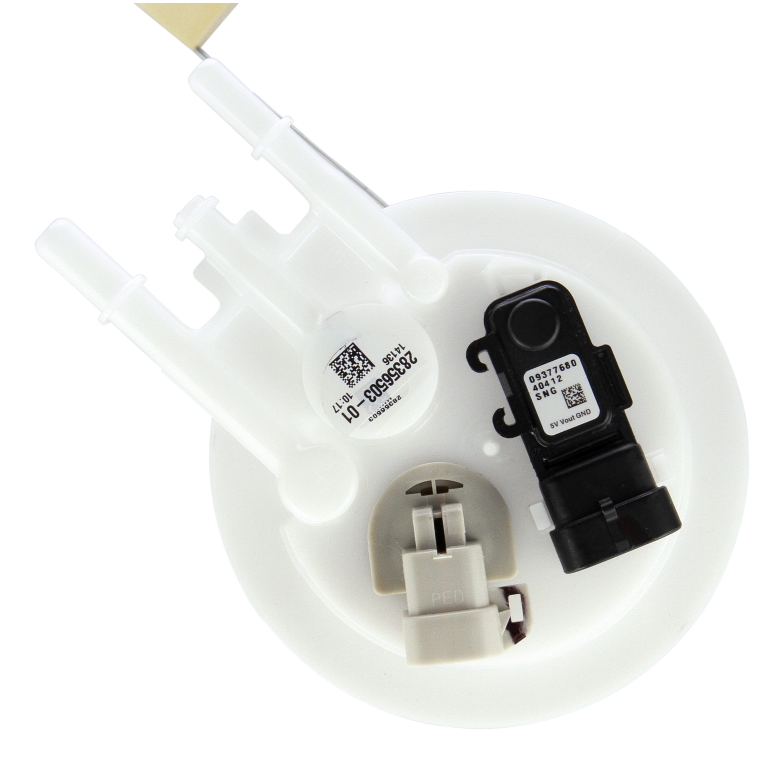 Delphi FG0508 Fuel Pump Module Assembly - Image 10