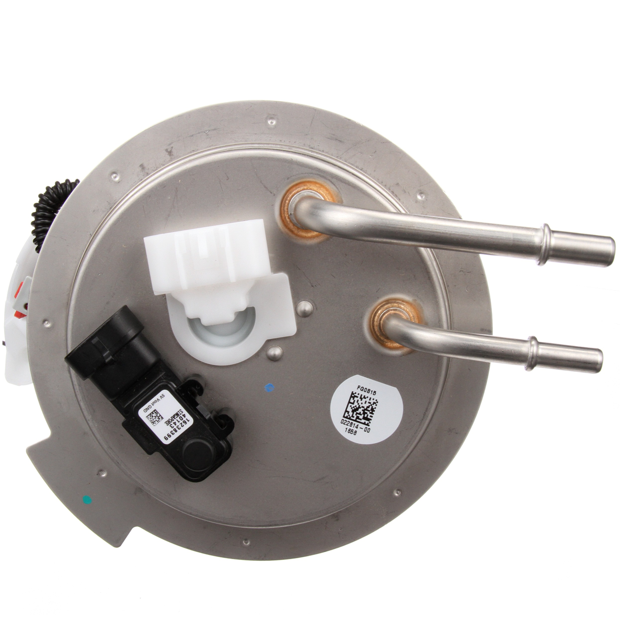 Delphi FG0815 Fuel Pump Module Assembly - Image 11