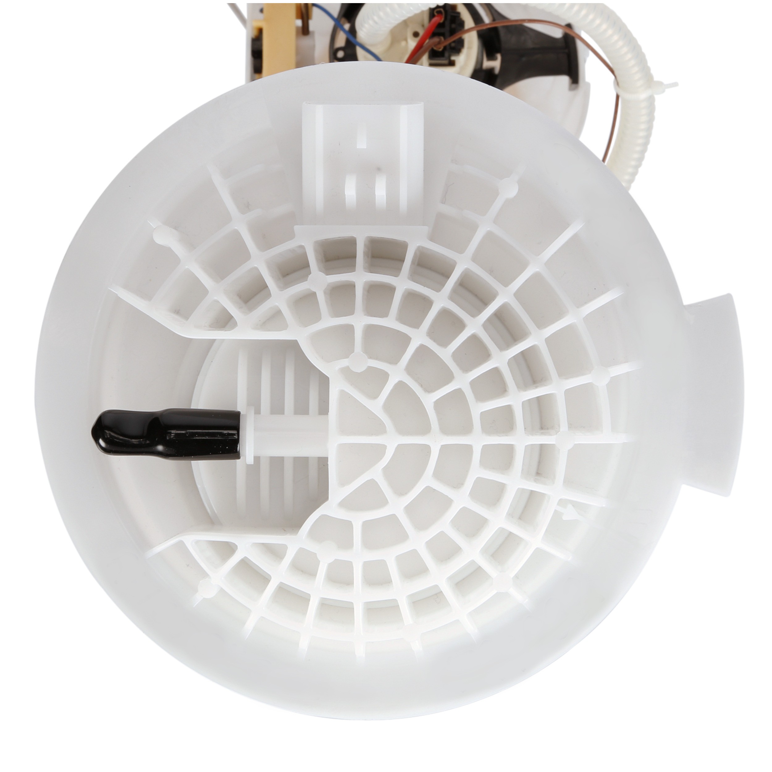 Delphi FG1082 Fuel Pump Module Assembly - Image 9