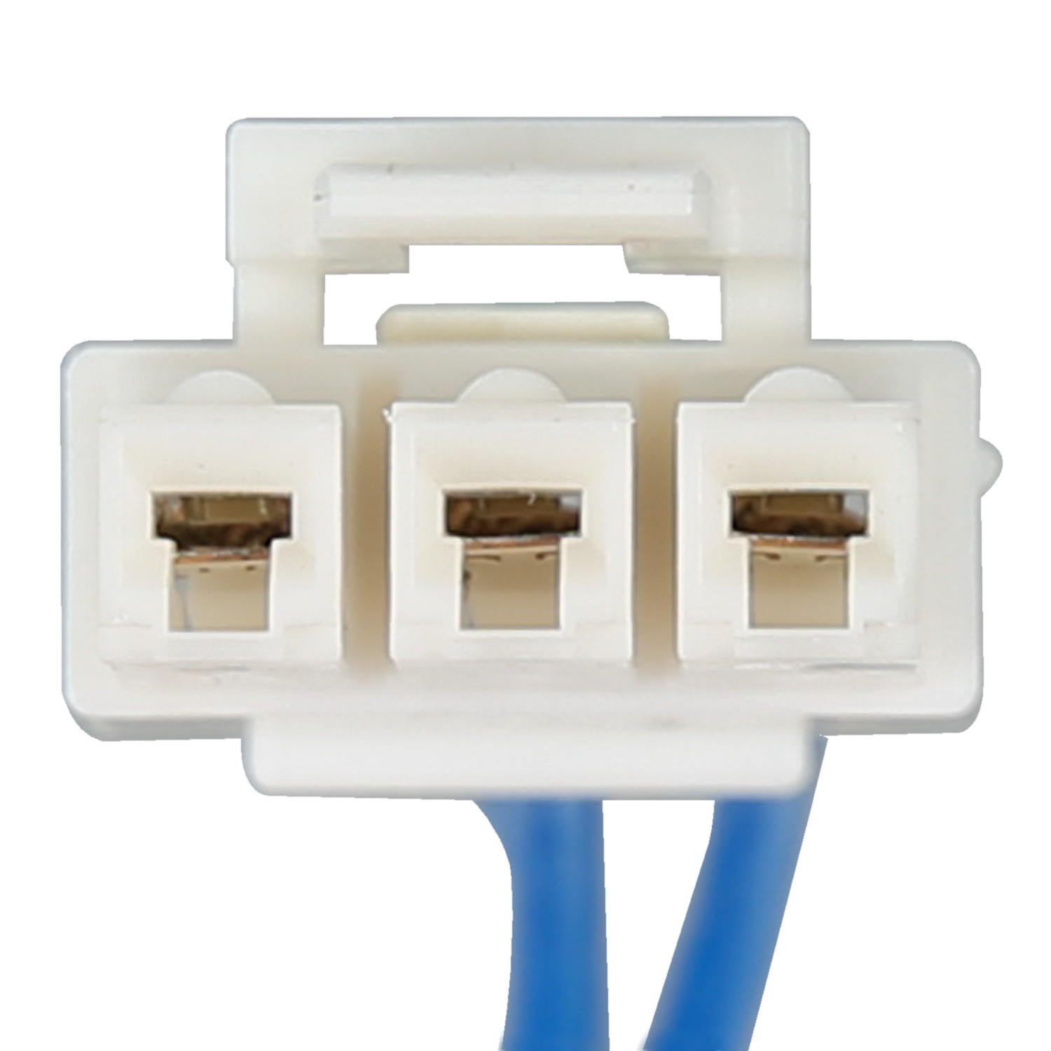 Delphi FG1194 Fuel Pump Module Assembly - Image 7
