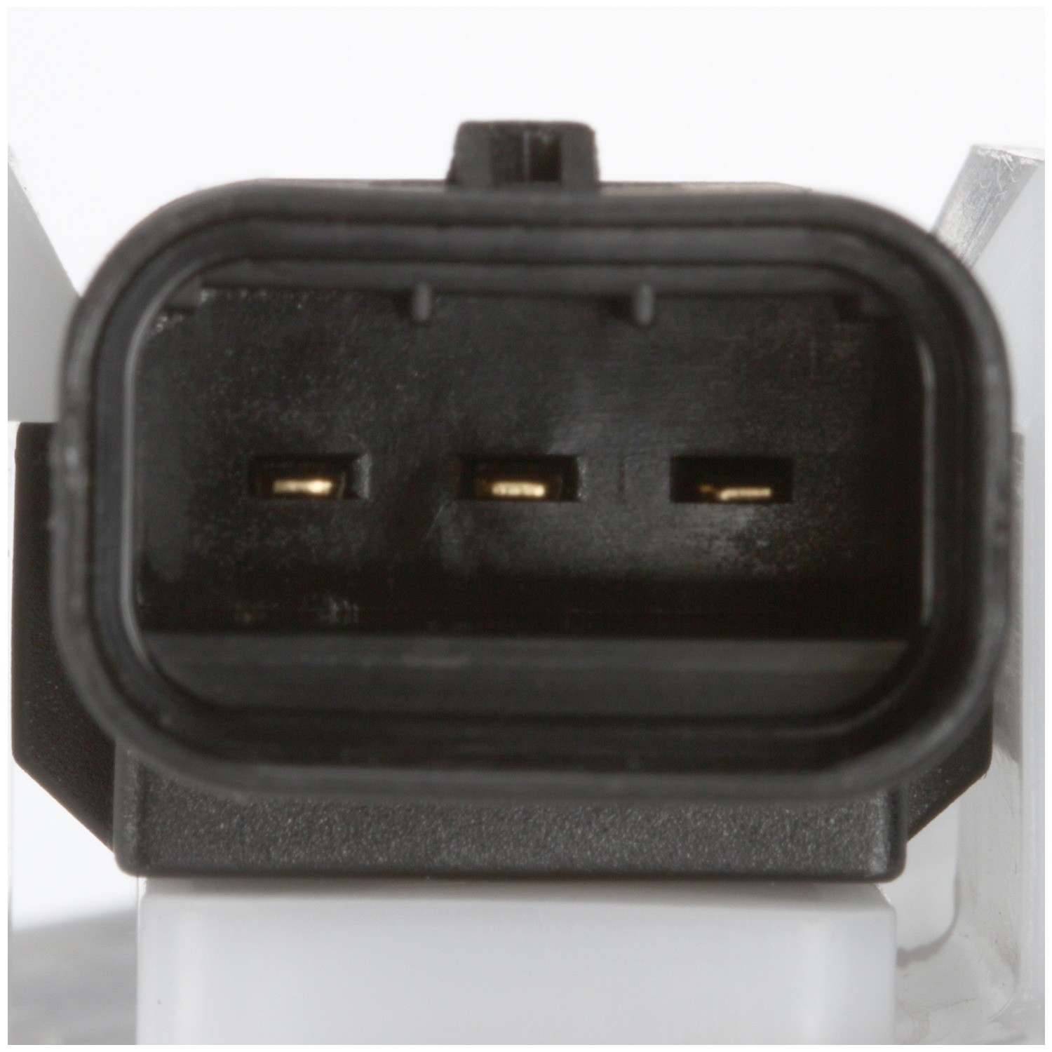 Delphi FG1561 Fuel Pump Module Assembly - Image 10