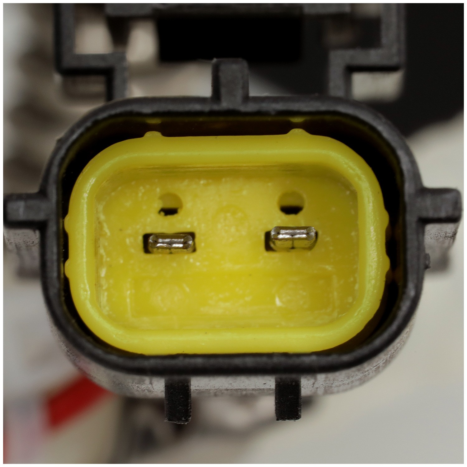 Delphi FG1618 Fuel Pump Module Assembly - Image 10