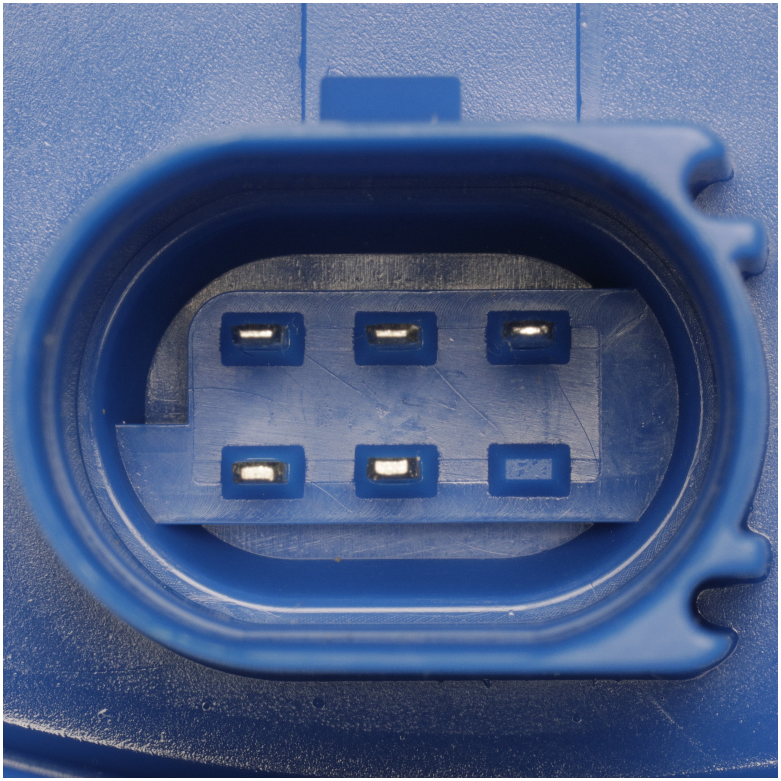 Delphi FG1634 Fuel Pump Module Assembly - Image 4