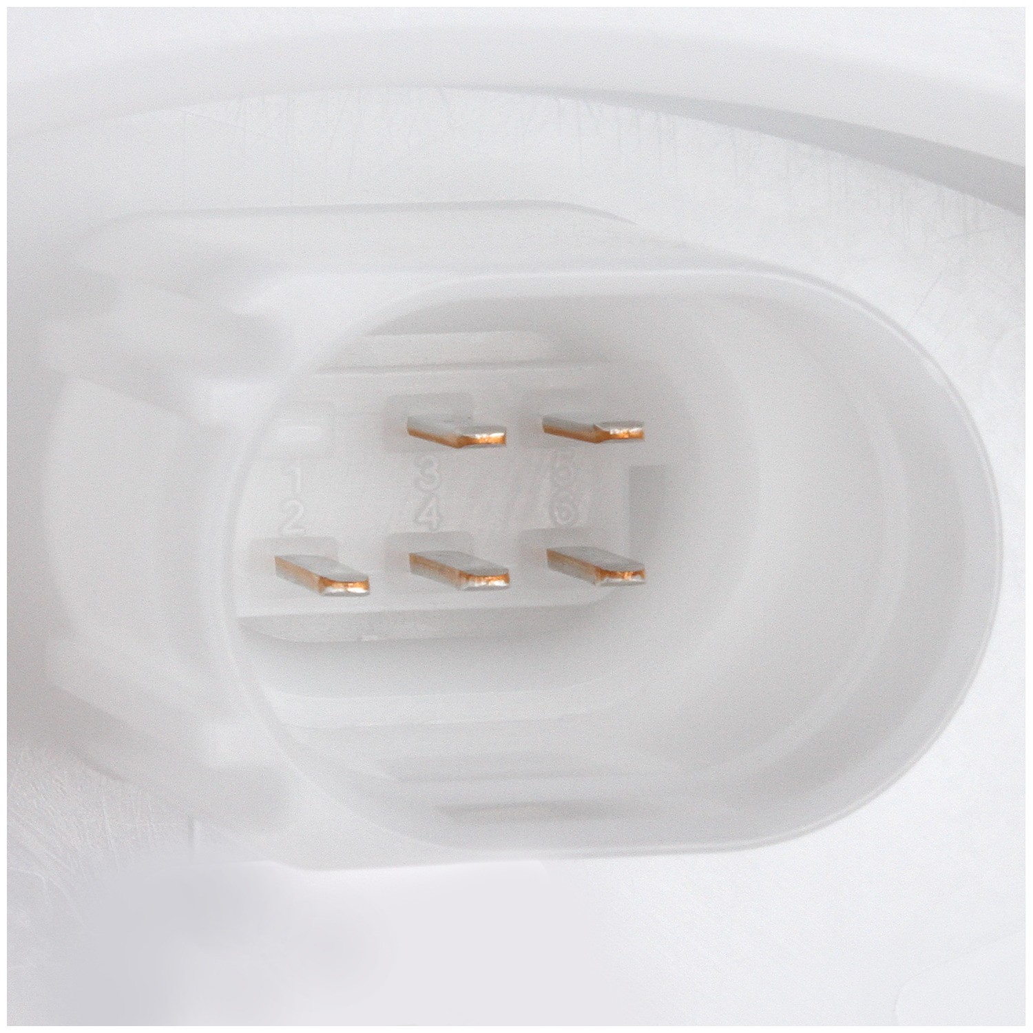 Delphi FG1634 Fuel Pump Module Assembly - Image 11