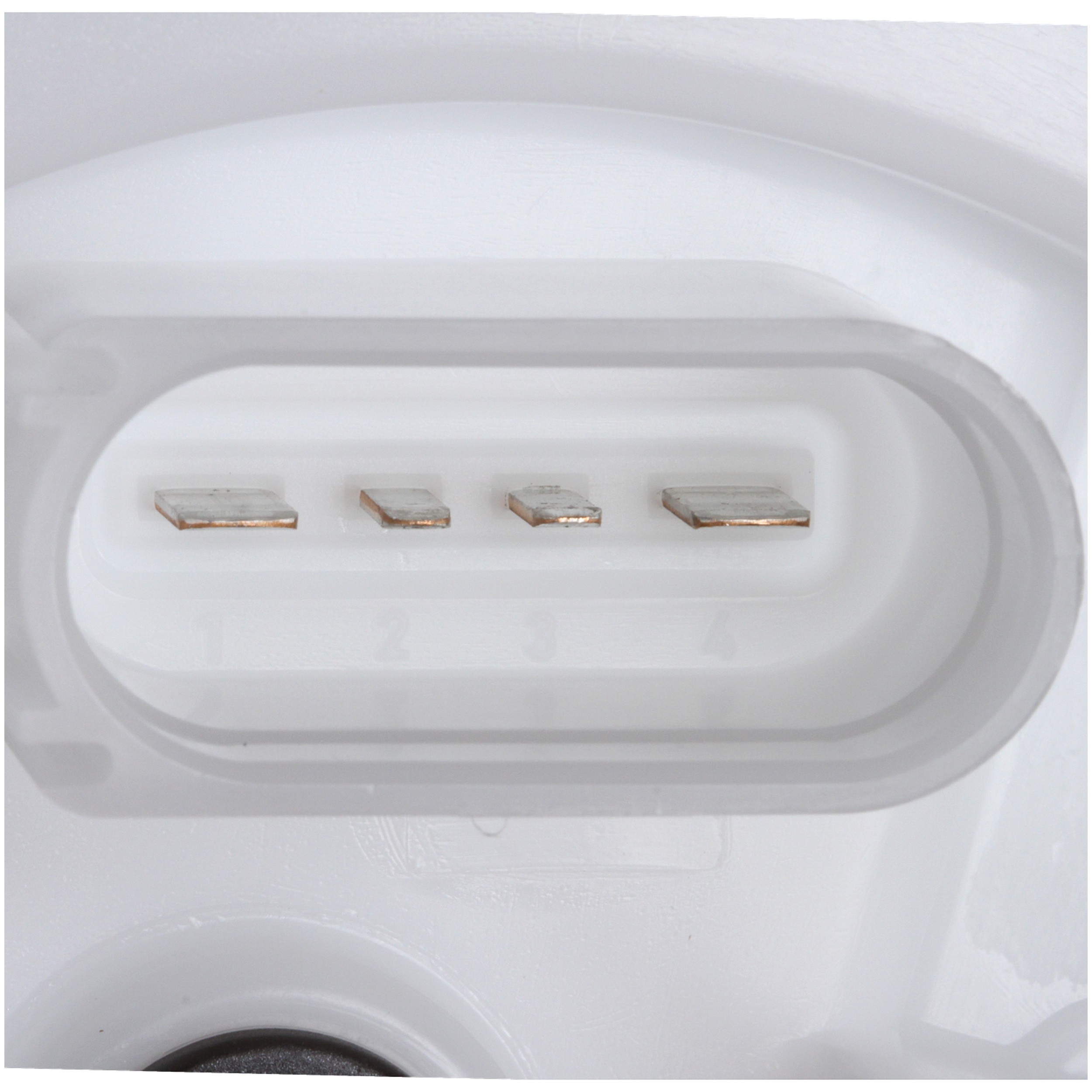 Delphi FG1719 Fuel Pump Module Assembly - Image 4
