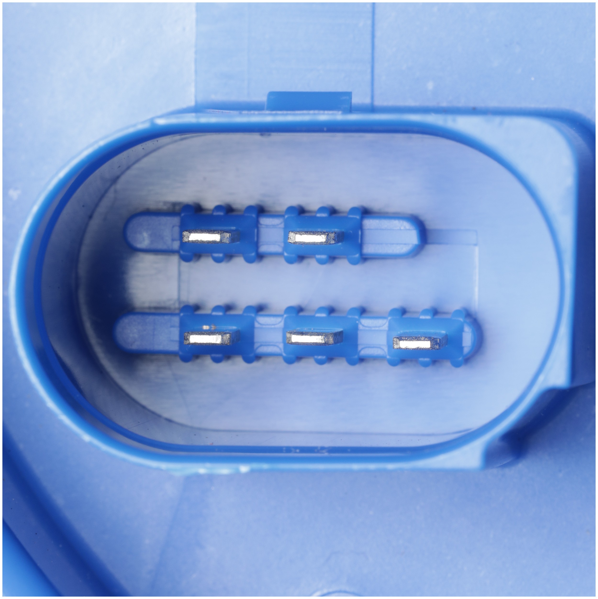 Delphi FG1884 Fuel Pump Module Assembly - Image 4