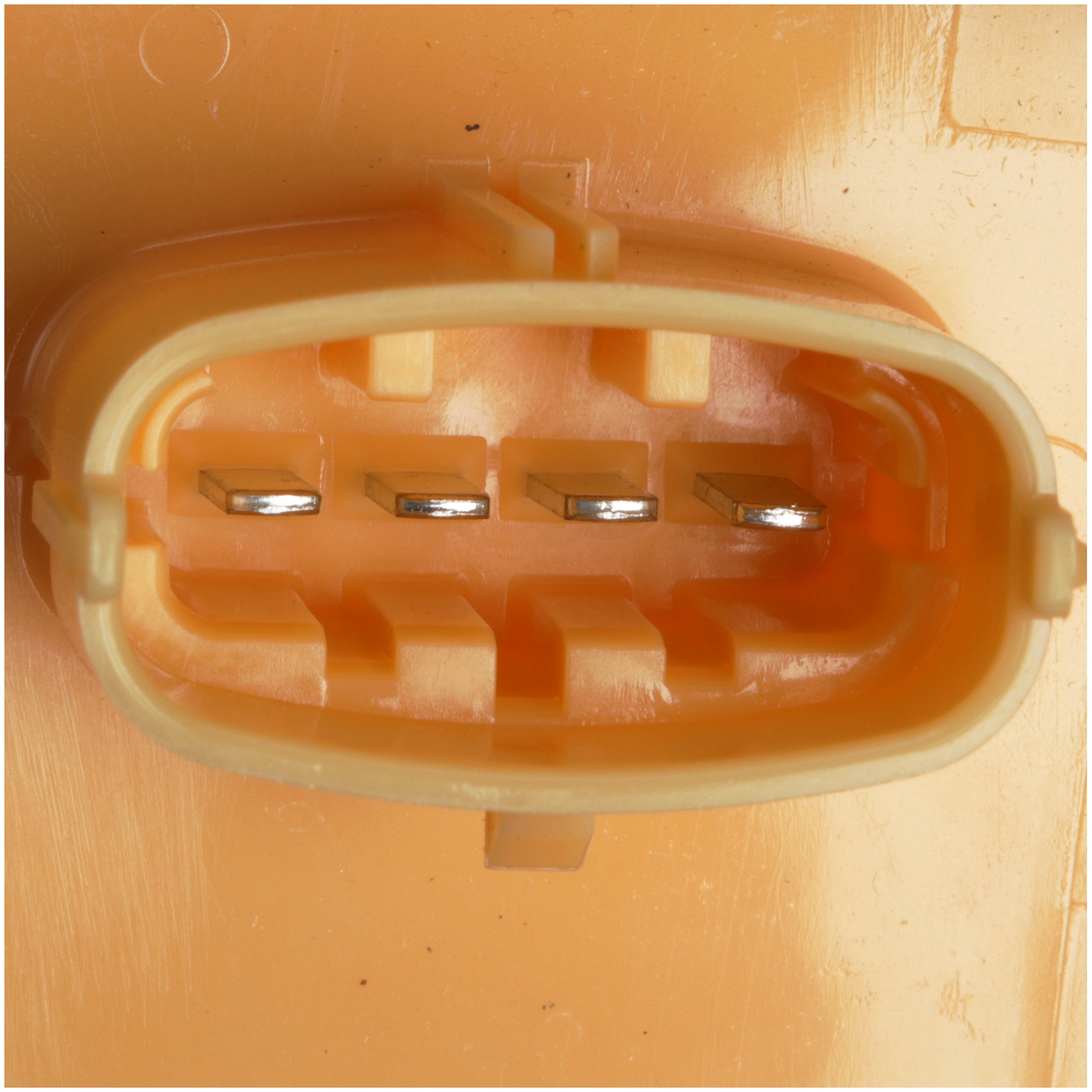 Delphi FG1981 Fuel Pump Module Assembly - Image 4
