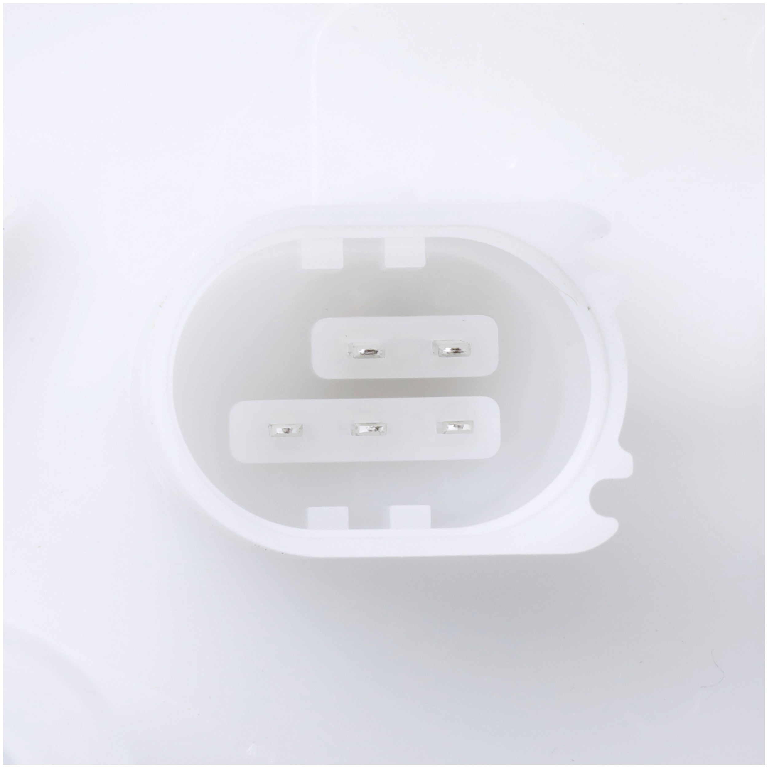 Delphi FG2186 Fuel Pump Module Assembly - Image 4