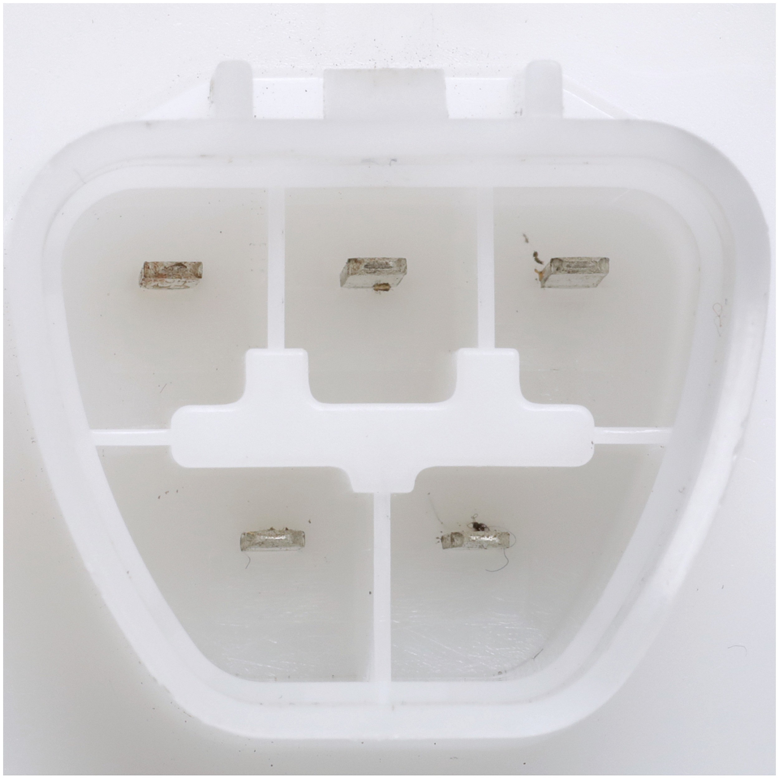 Delphi FG2218 Fuel Pump Module Assembly - Image 4