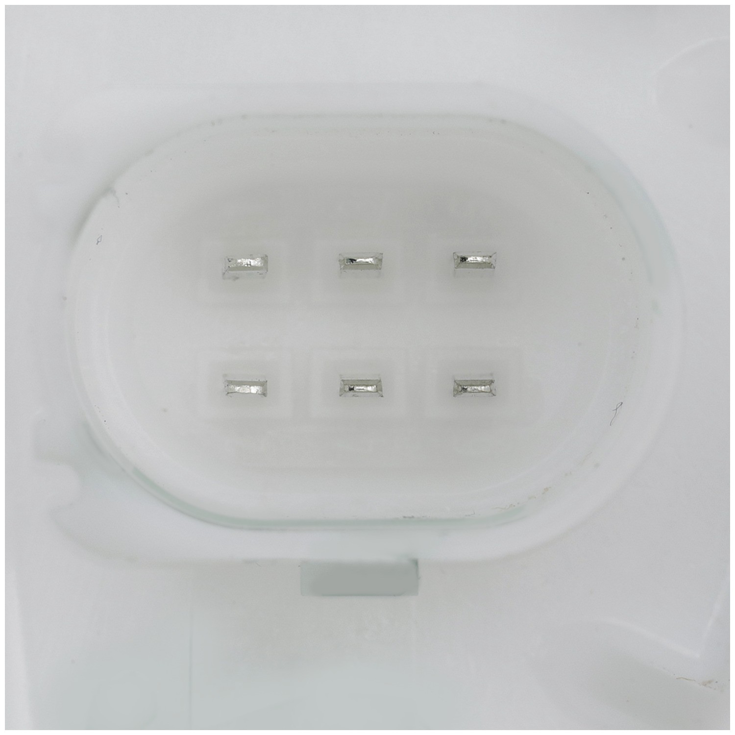 Delphi FG2323 Fuel Pump Module Assembly - Image 12