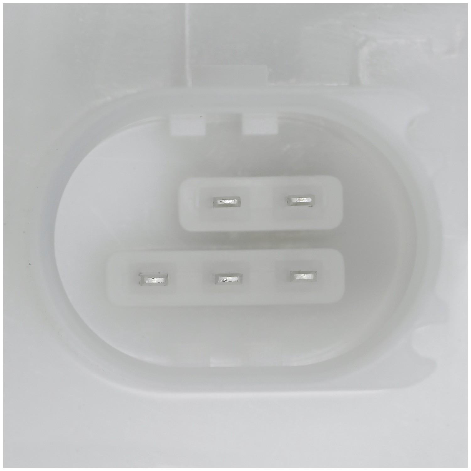 Delphi FG2324 Fuel Pump Module Assembly - Image 10