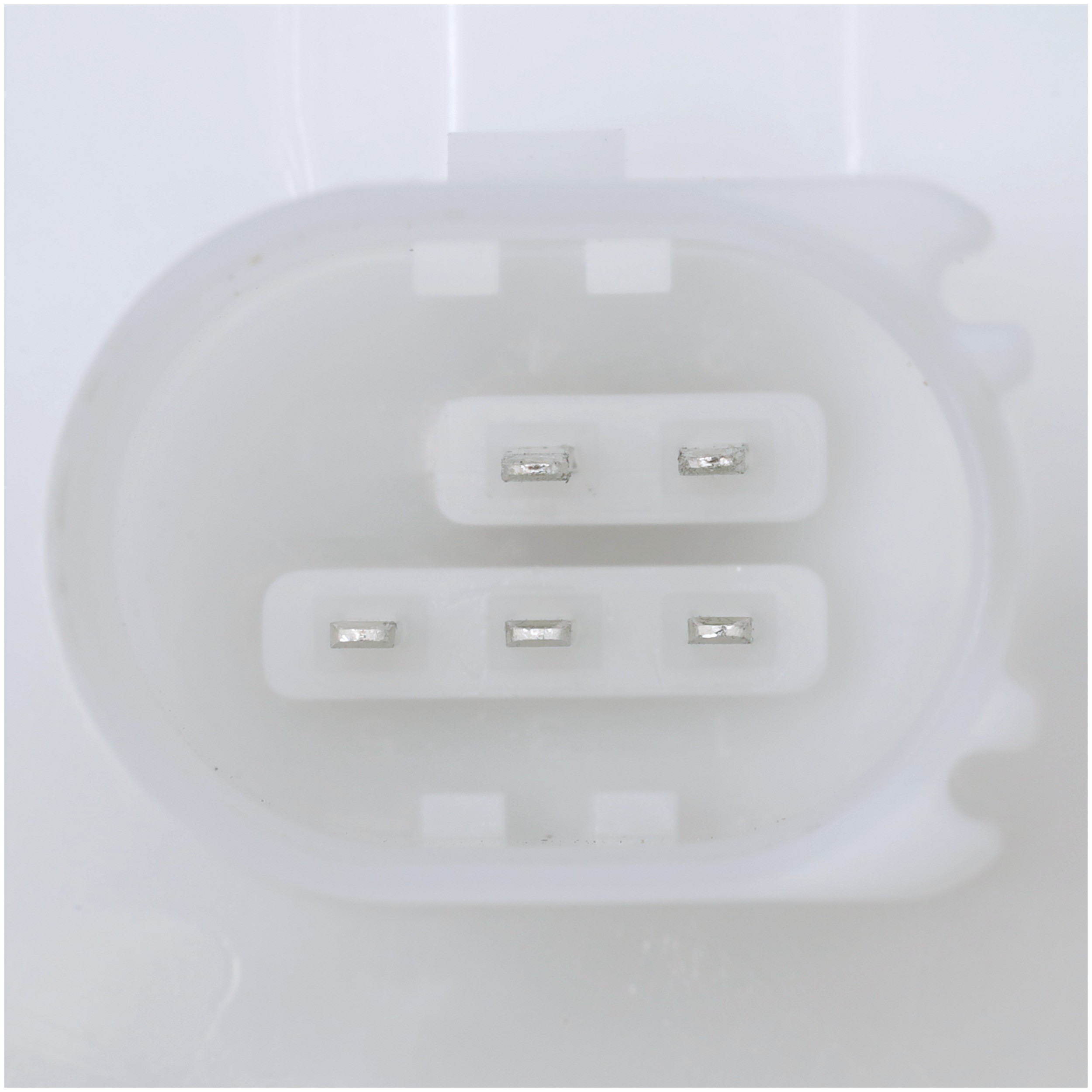 Delphi FG2331 Fuel Pump Module Assembly - Image 5