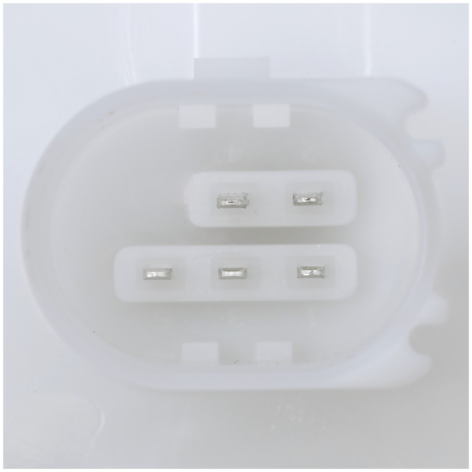 Delphi FG2331 Fuel Pump Module Assembly - Image 10