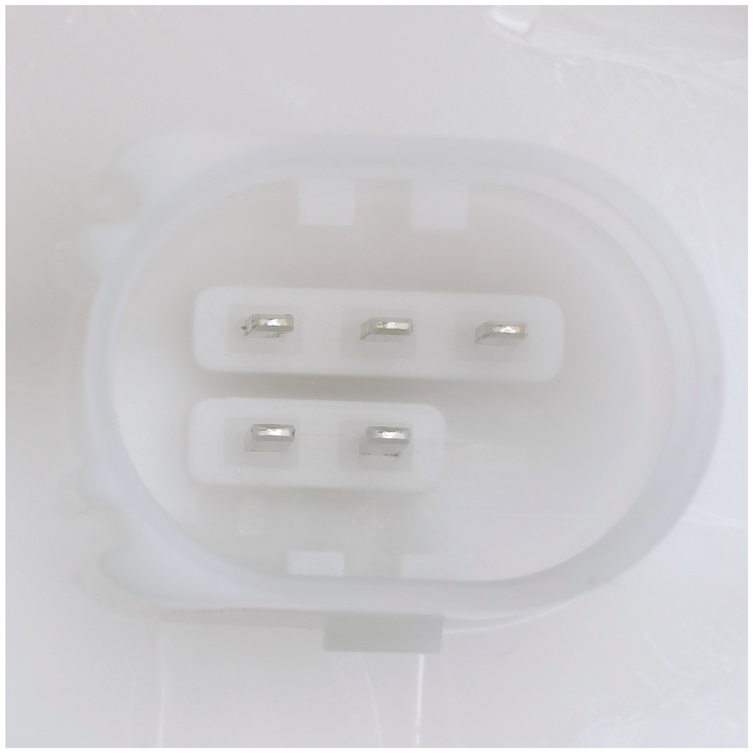 Delphi FG2333 Fuel Pump Module Assembly - Image 10