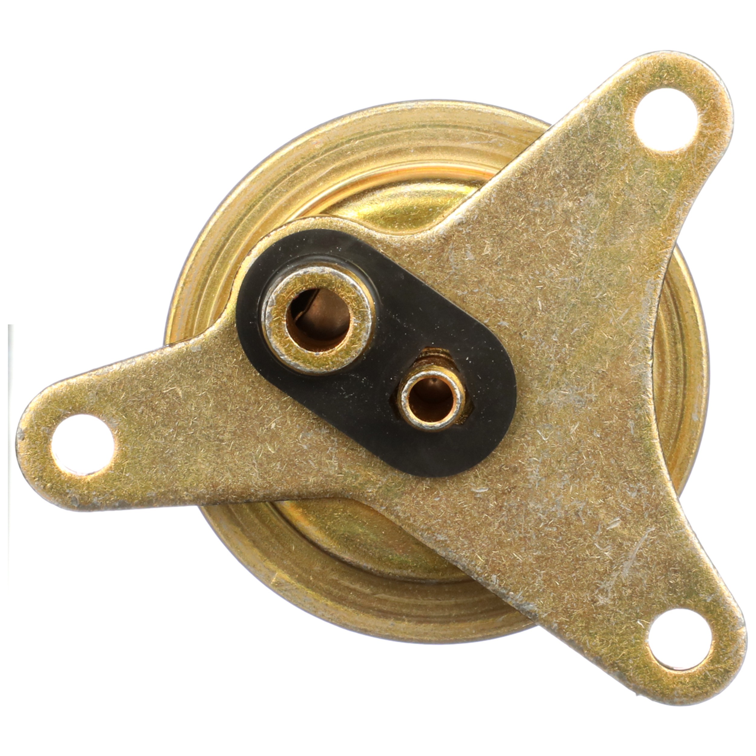 Delphi FP10391 Fuel Injection Pressure Regulator - Image 3