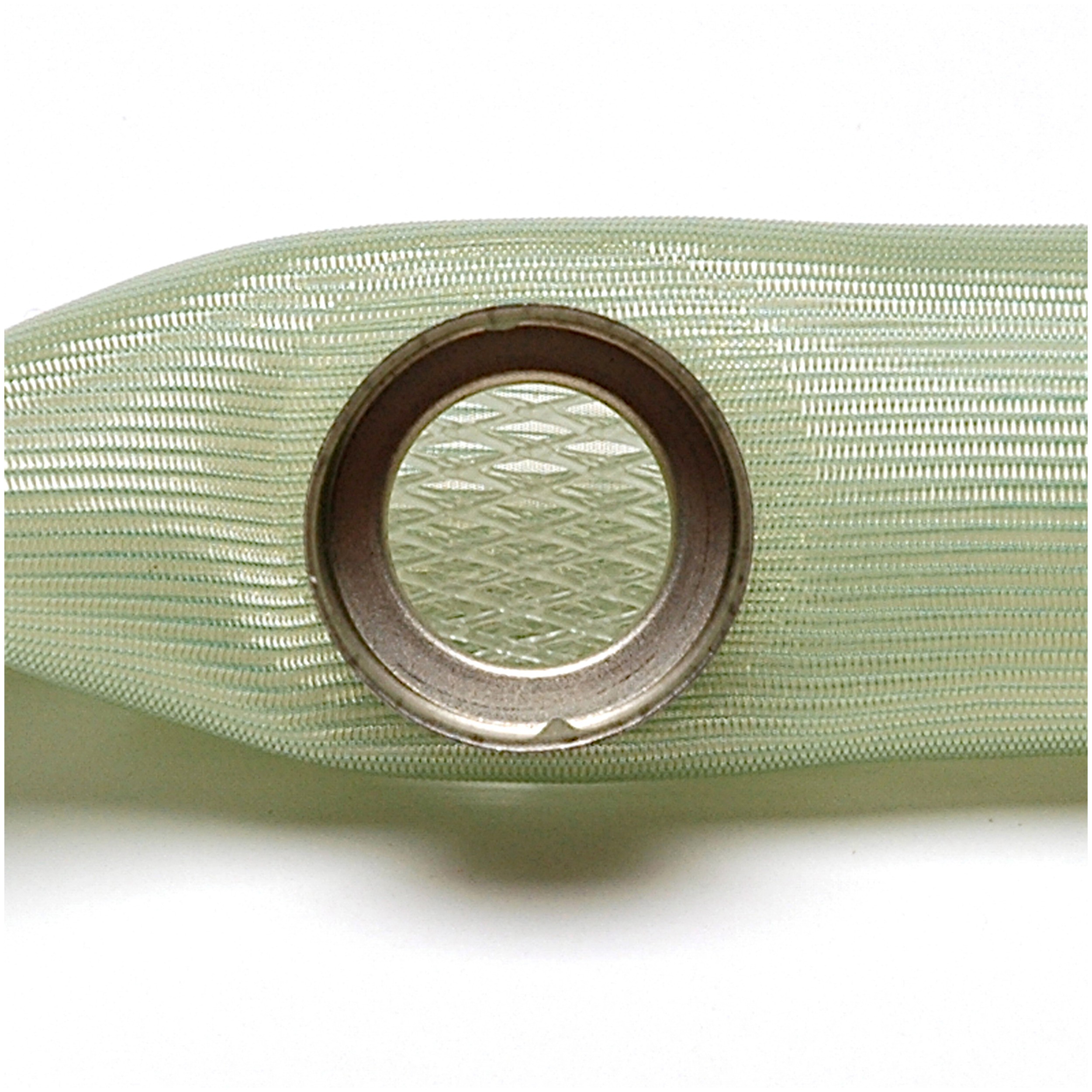 Delphi FS0002 Fuel Pump Strainer - Image 2