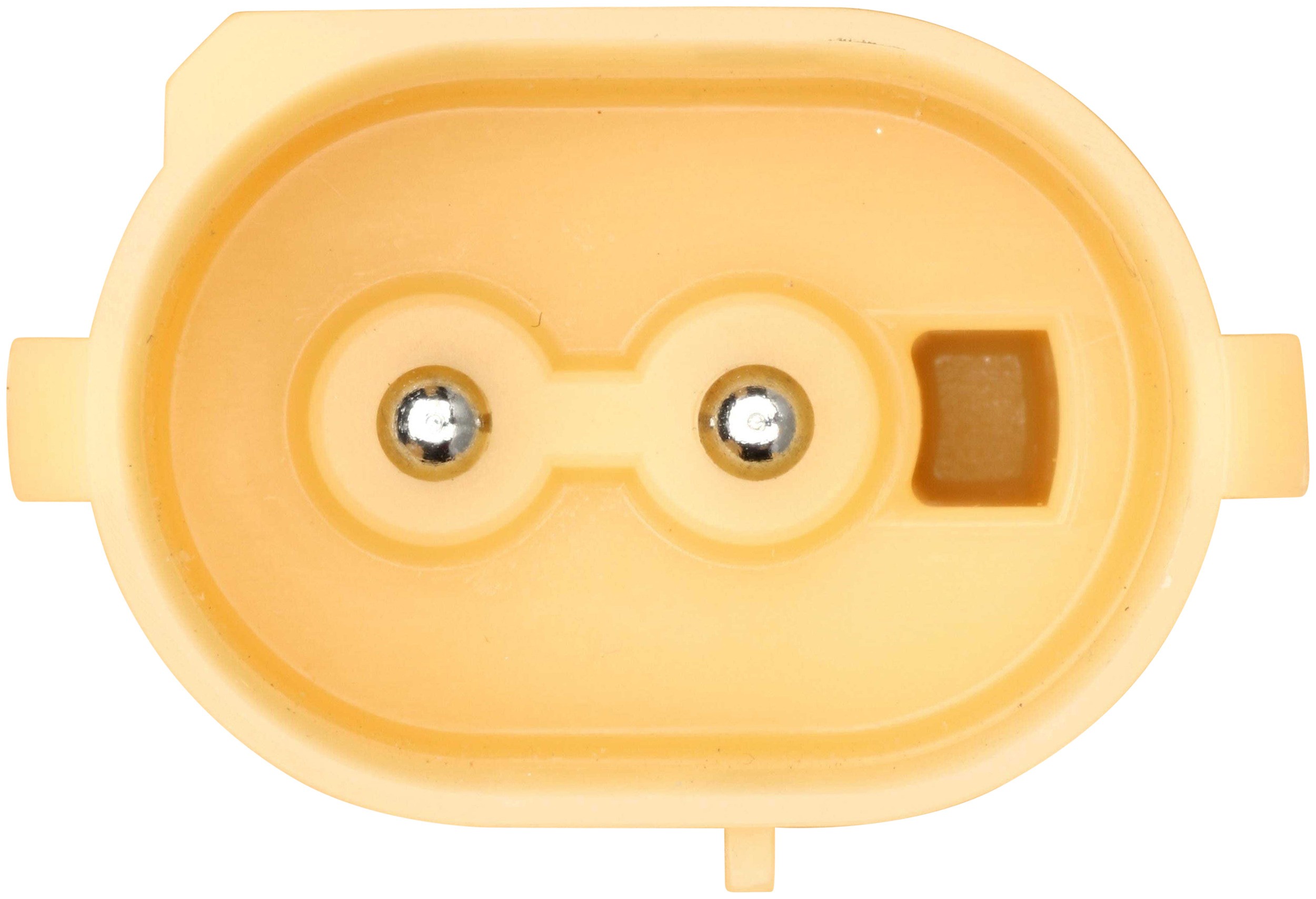 Delphi FT4127 Fuel Transfer Unit - Image 4
