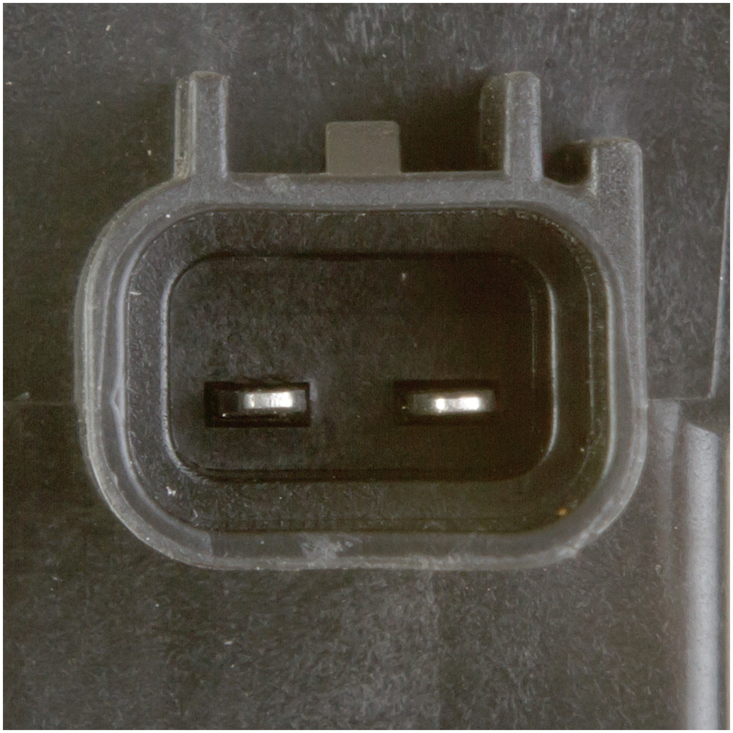 Delphi GN10251 Ignition Coil - Image 4