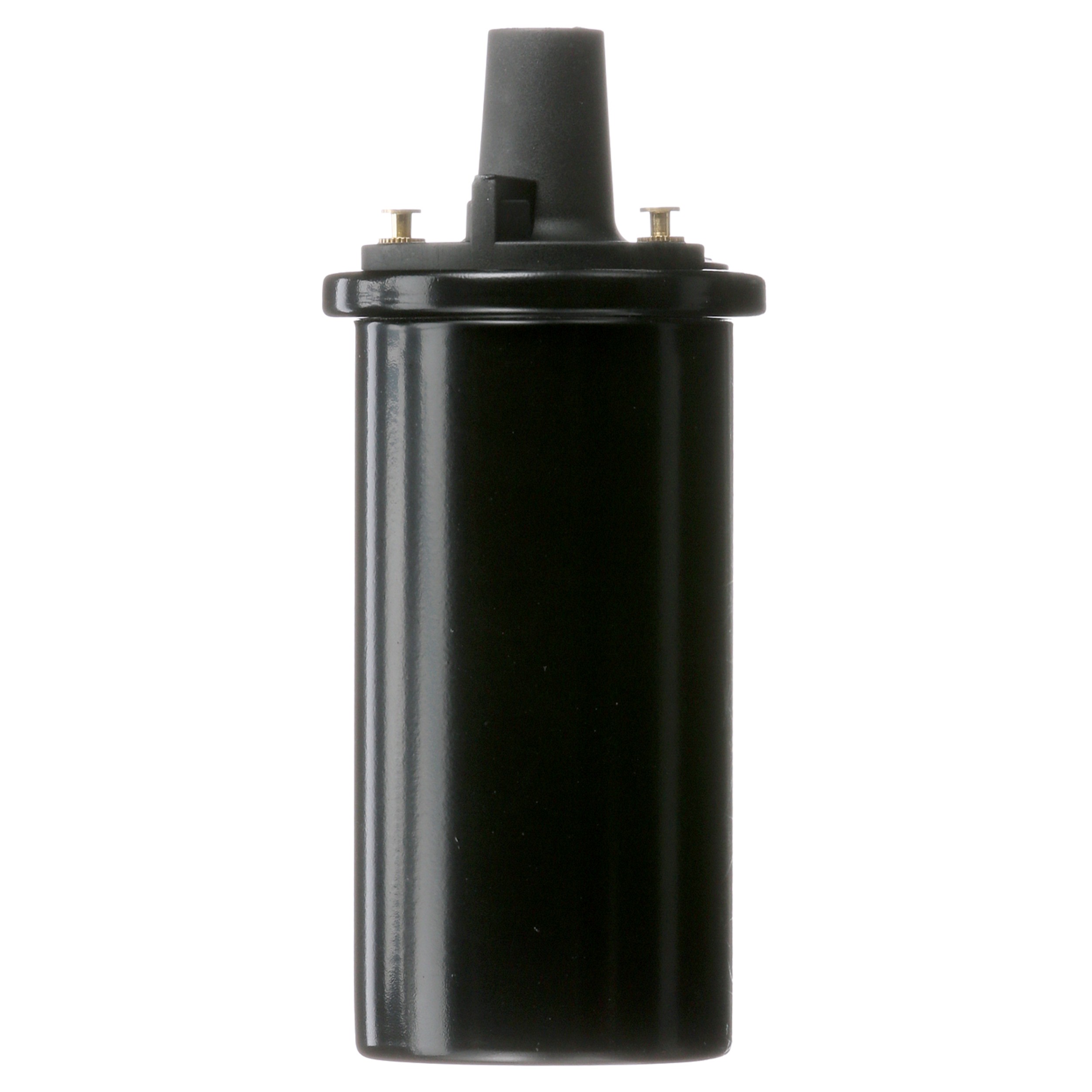 Delphi GN10273 Ignition Coil - Image 2