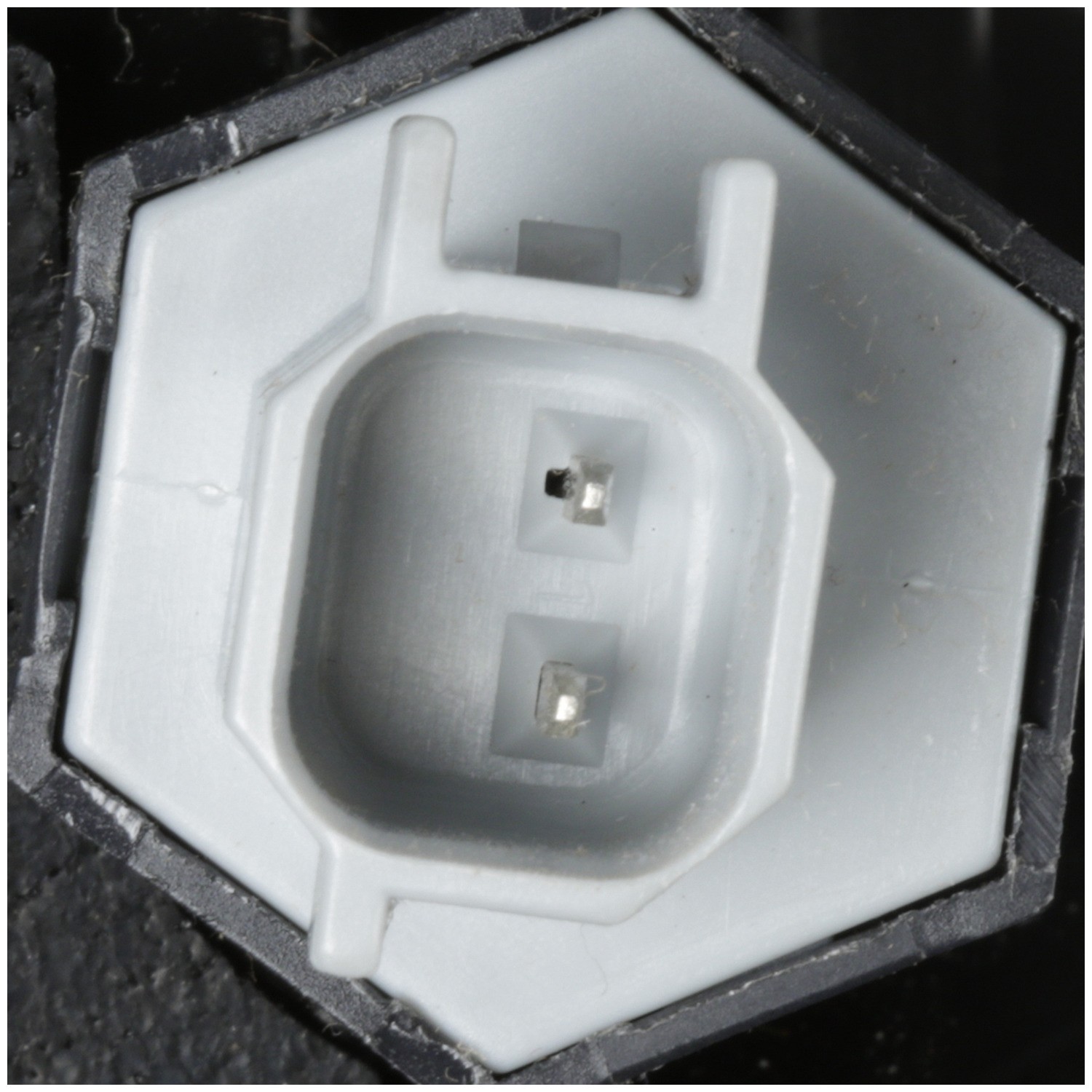 Delphi HFP1000 Electric Fuel Pump - Image 5