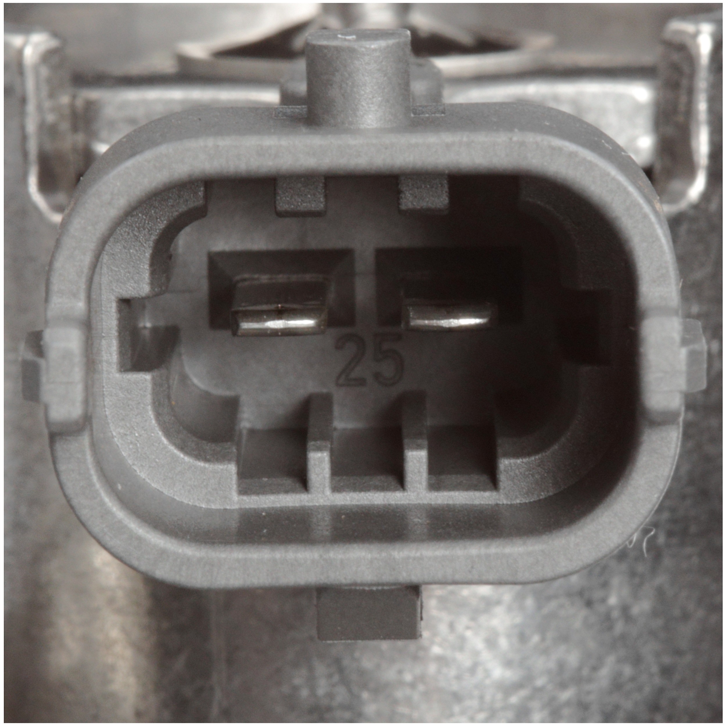 Delphi HM10016 Direct Injection High Pressure Fuel Pump - Image 4