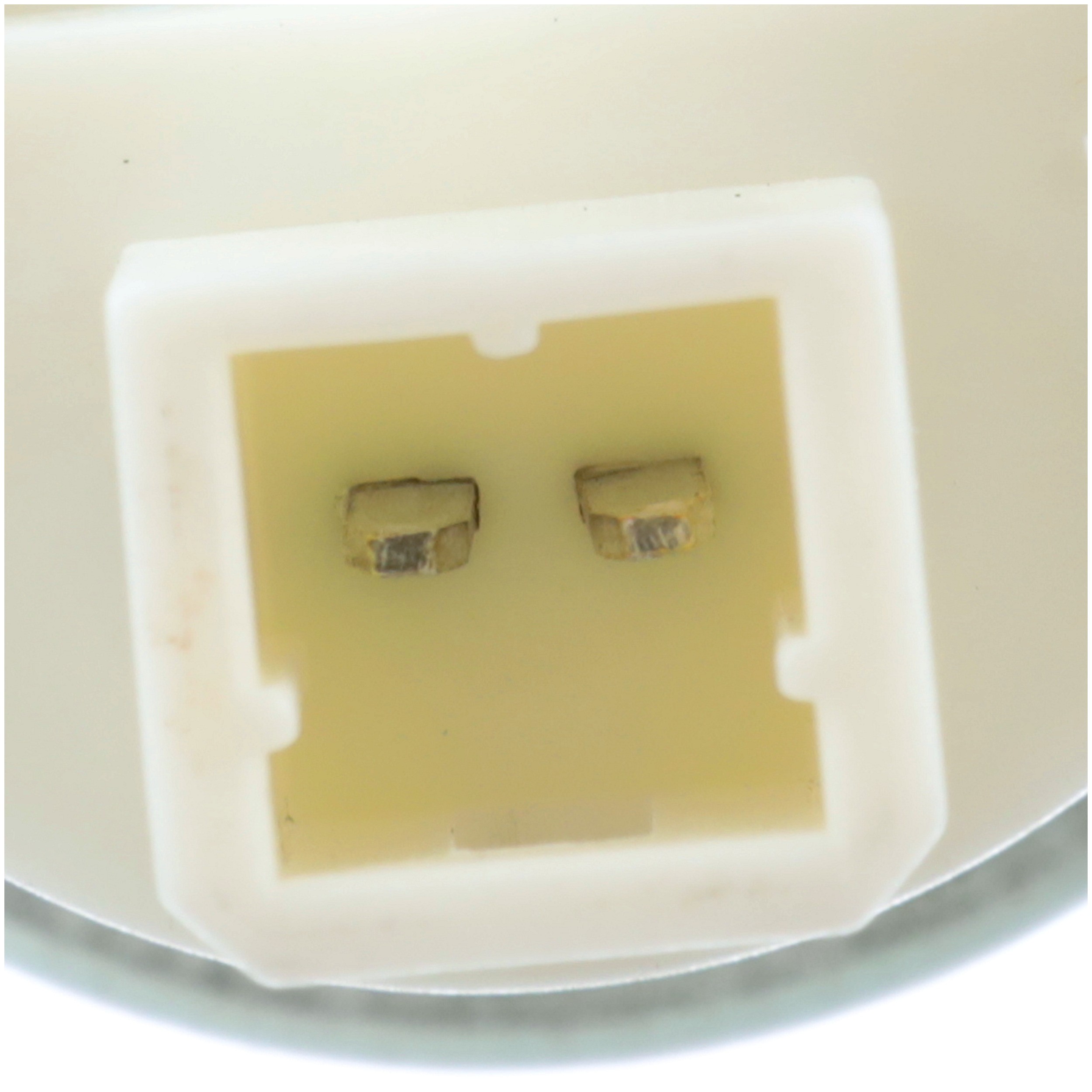 Delphi PN2018 Fuel Pump and Strainer Set - Image 4