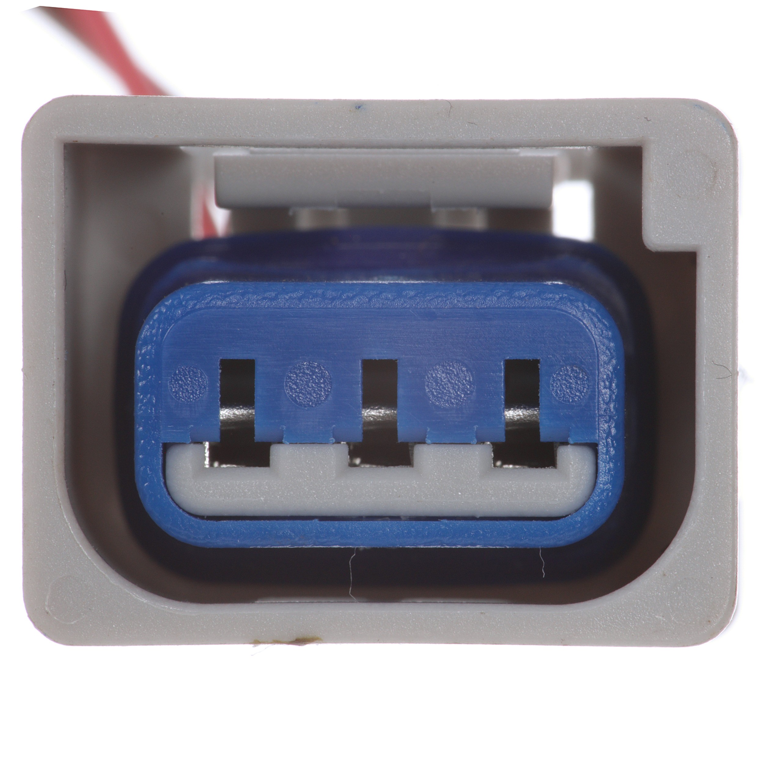 Delphi PN3161 Fuel Pump Module Assembly - Image 5